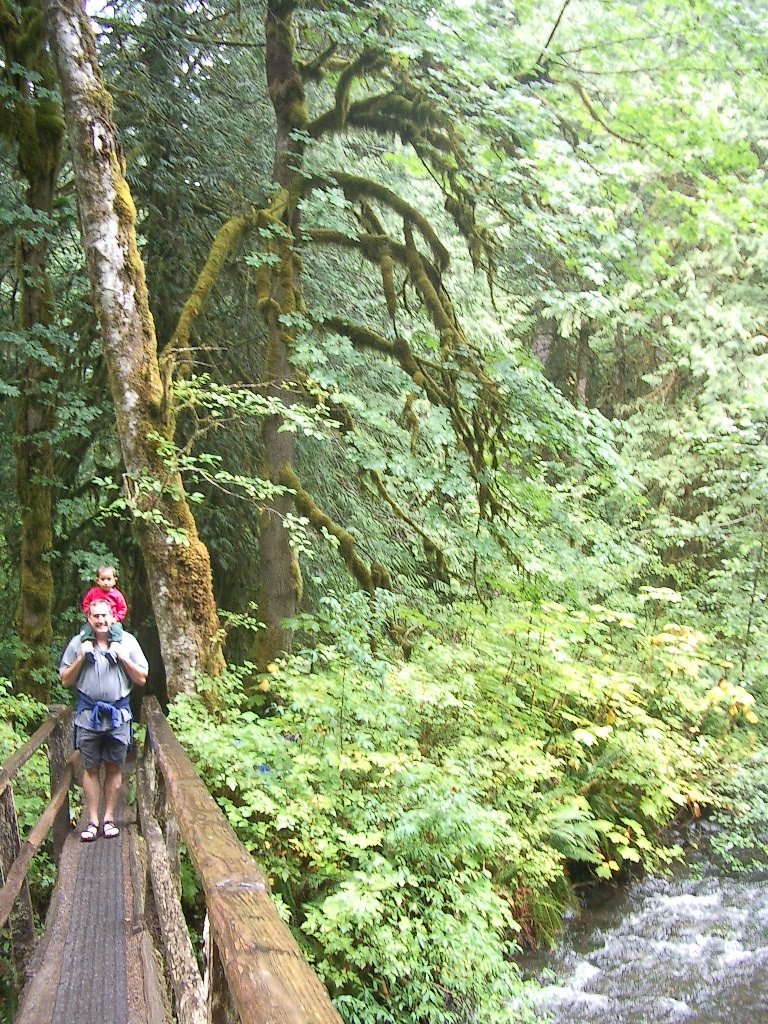 2004-8-6 HIKE TO MARYMERE FALLS AND LAKE CRESCENT (10).JPG
