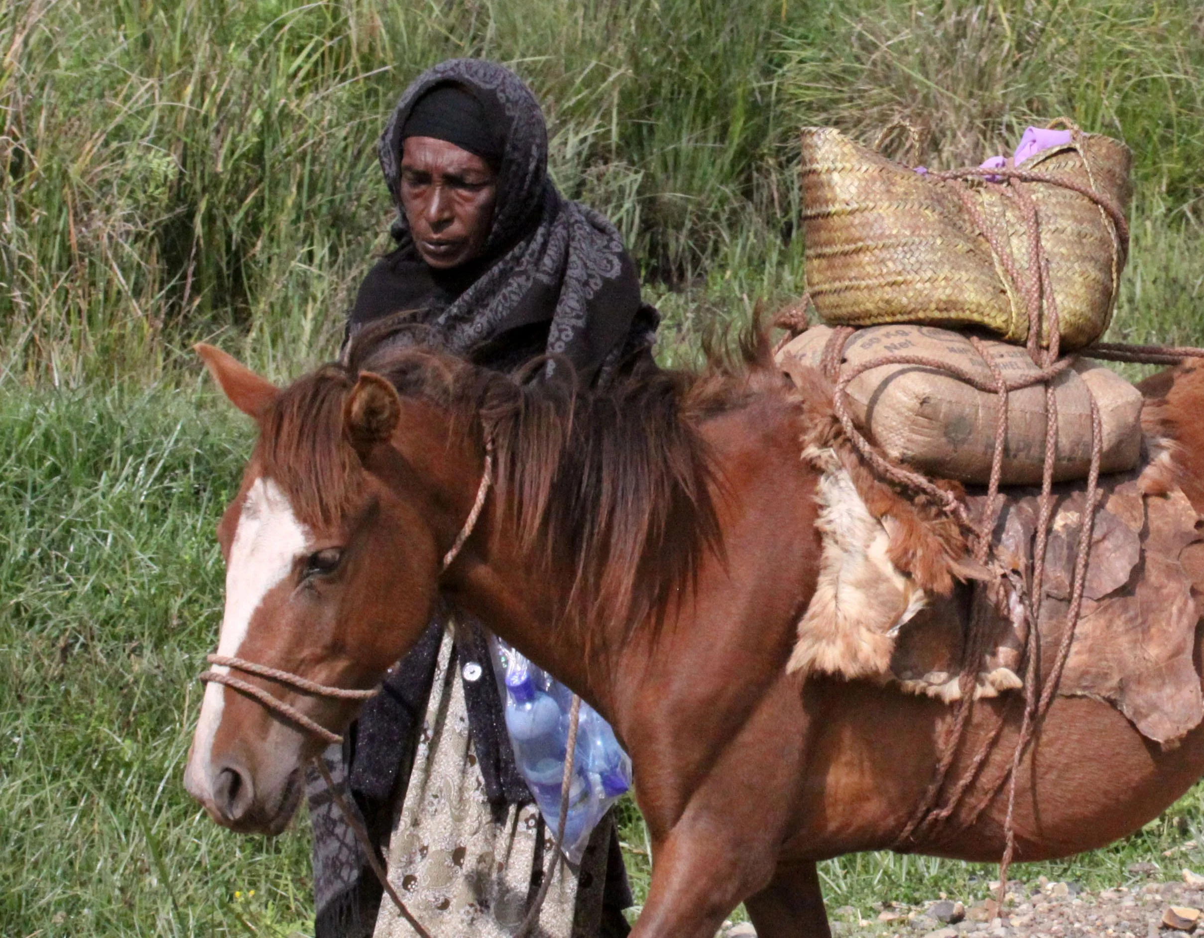 BALE MOUNTAINS NATIONAL PARK ETHIOPIA - GAYSAY GRASSLANDS (15).JPG