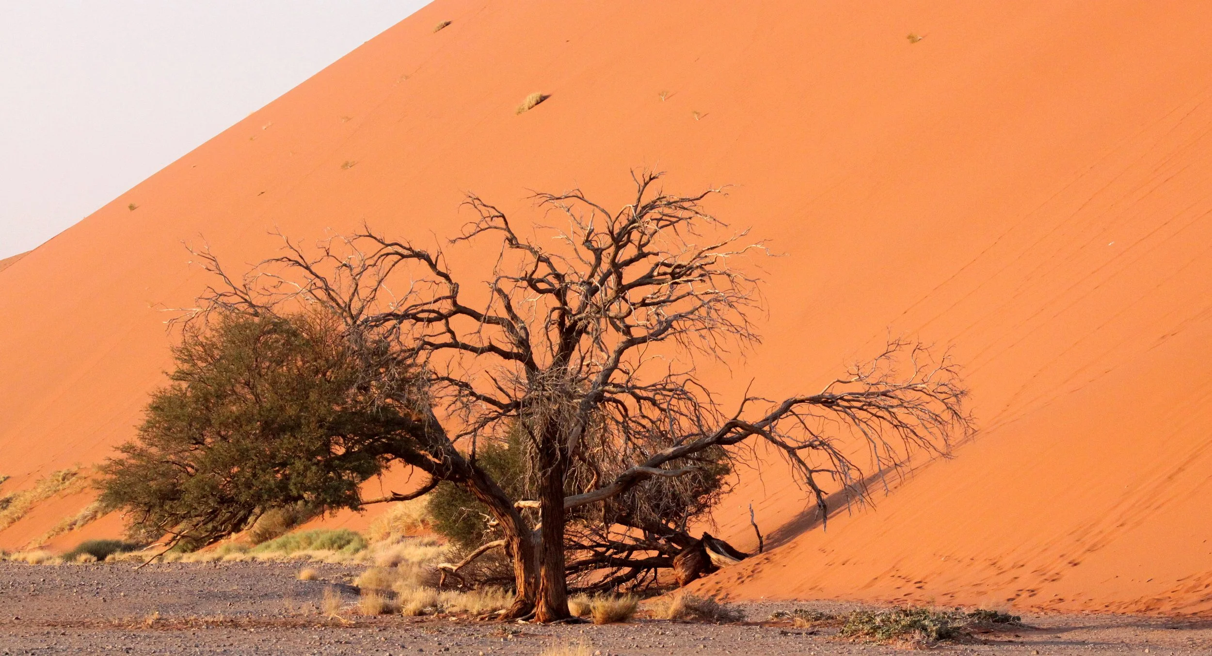 SOSSUSVLEI, NAMIB NAUKLUFT NATIONAL PARK, NAMIBIA - SESREIM VIEWS (13).JPG