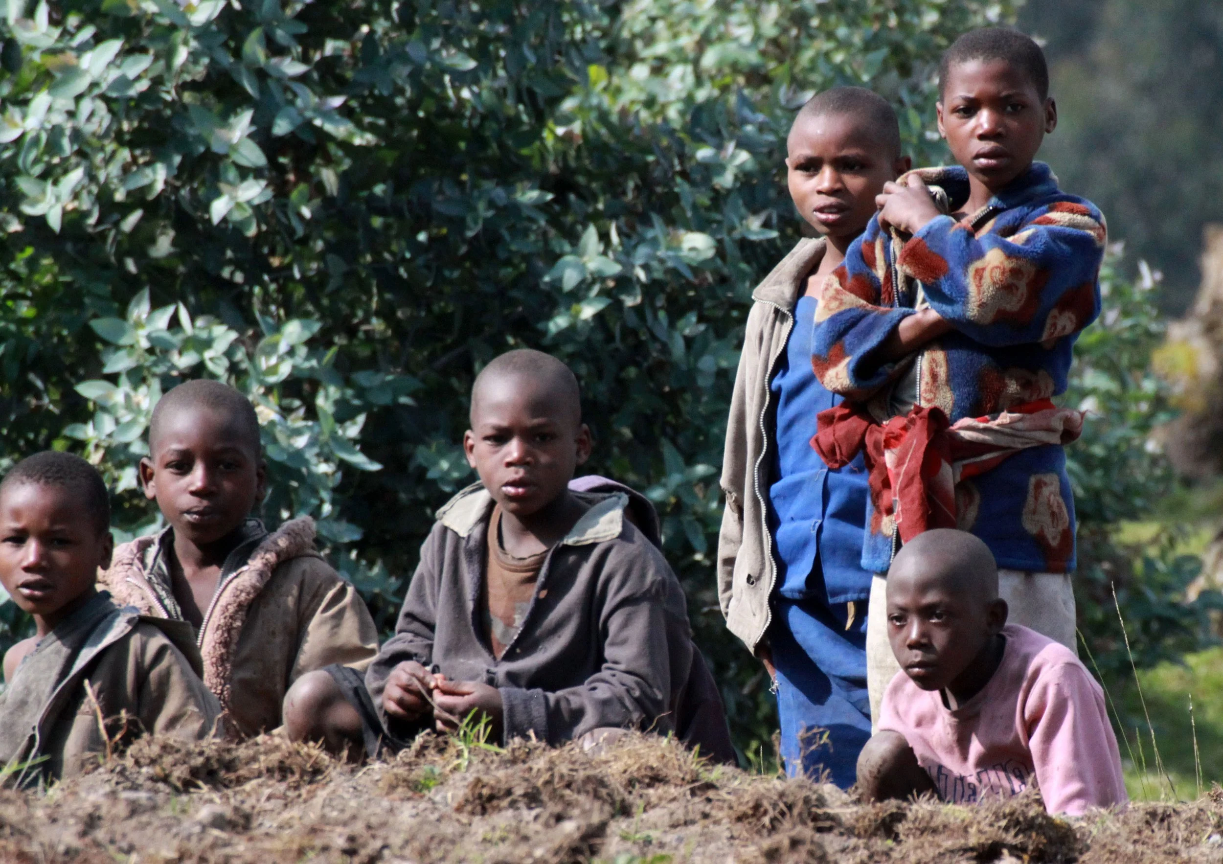 PARC DU VULCANS RWANDA (65).JPG