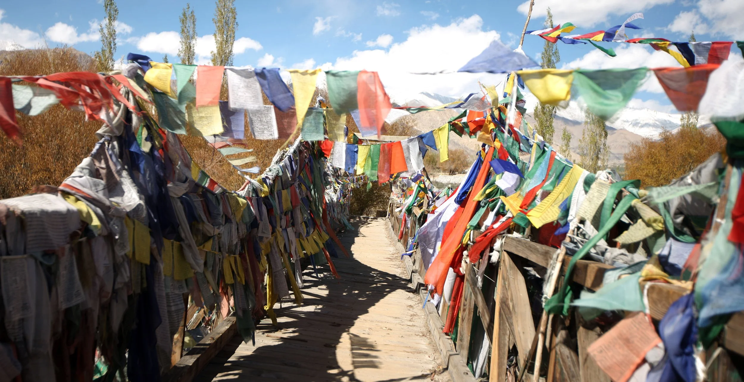 LEH LADAKH INDIA (6).JPG