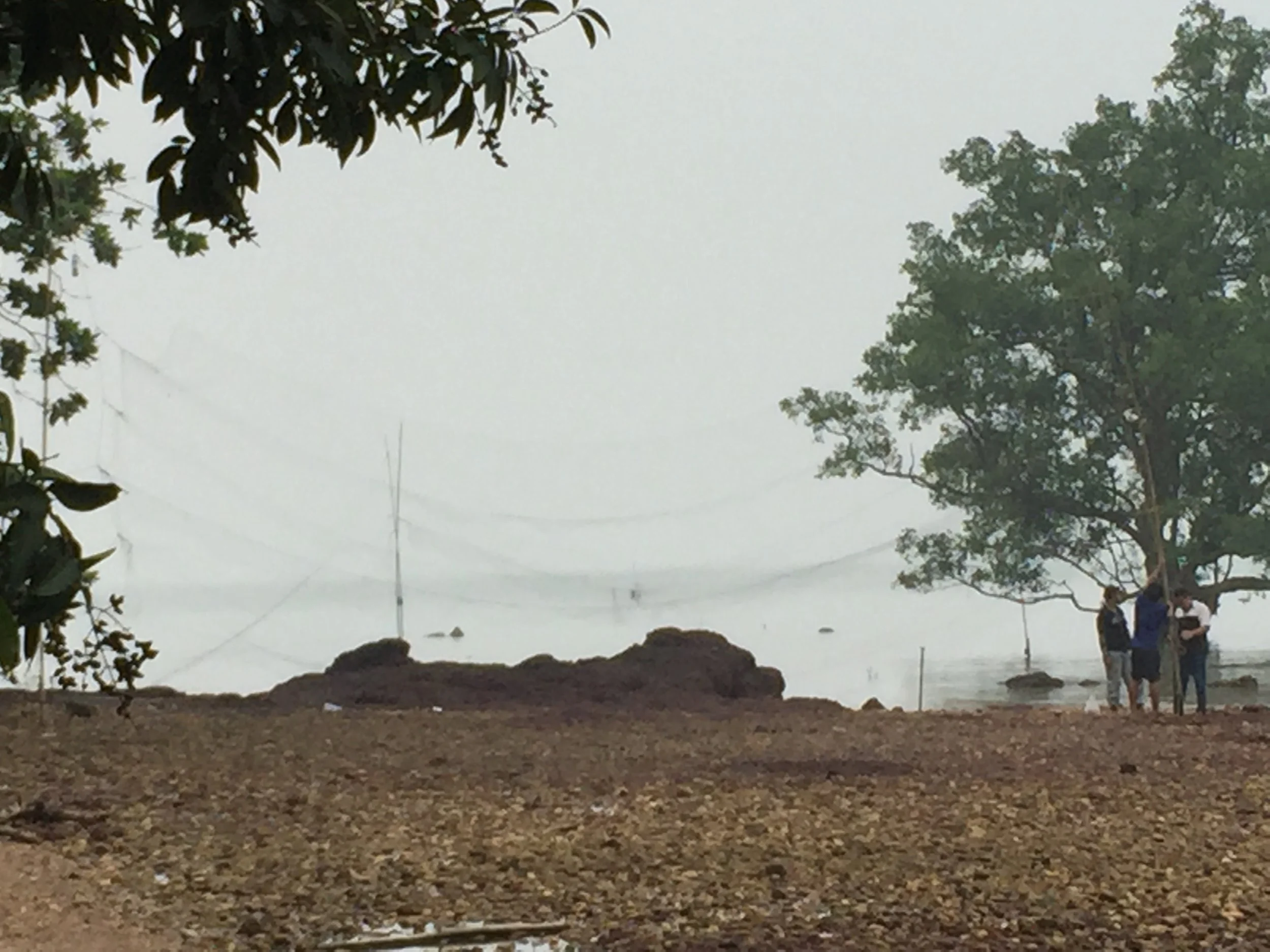 2015 LANTA - BAT POACHING 2015 (7).JPG