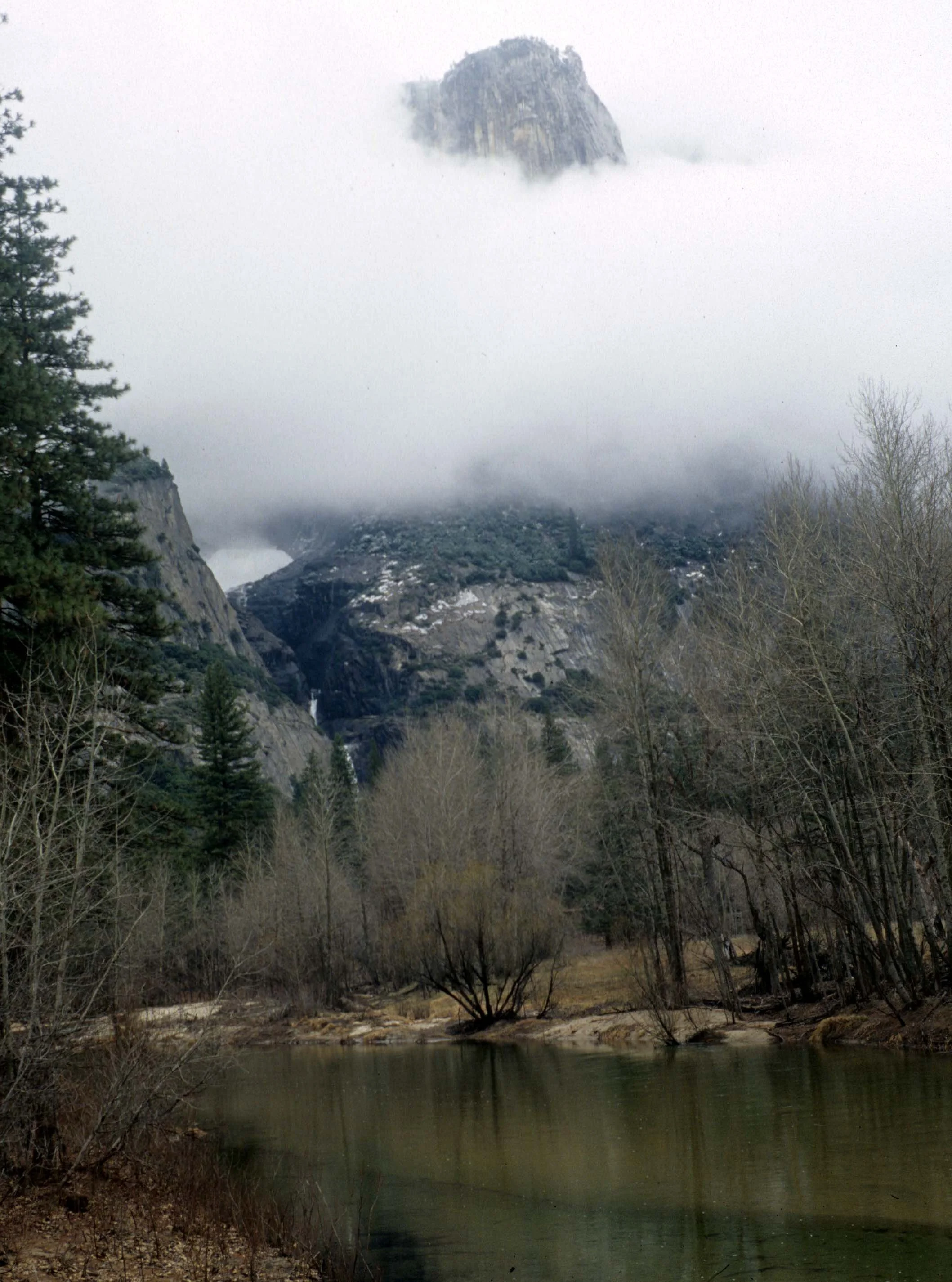 CALIFORNIA - YOSEMITE NP  (14).jpg