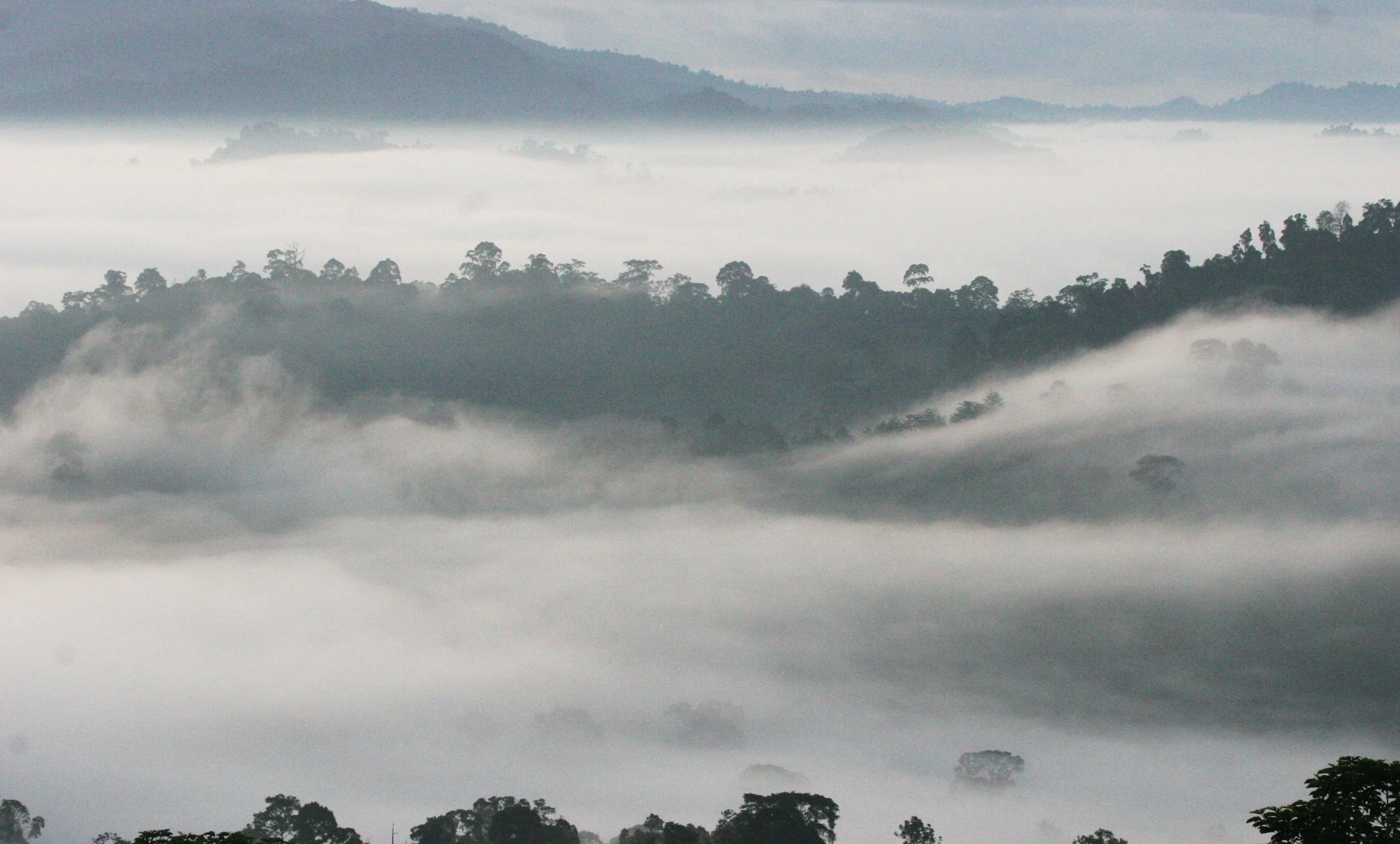 DANUM VALLEY BORNEO - SUNRISE OVER THE DANUM (54).JPG