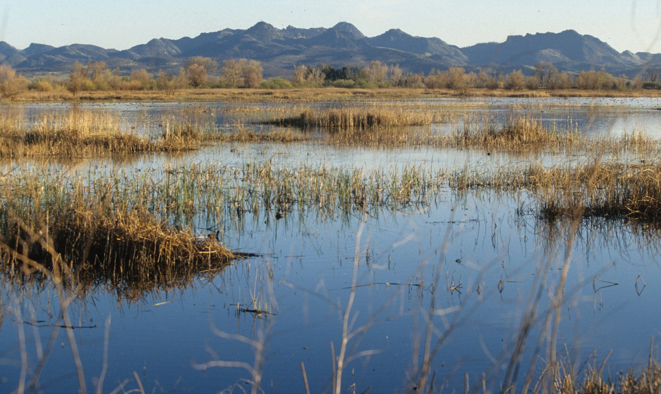 CALIFORNIA - GREY LODGE WITH SUTTER BUTTES.jpg