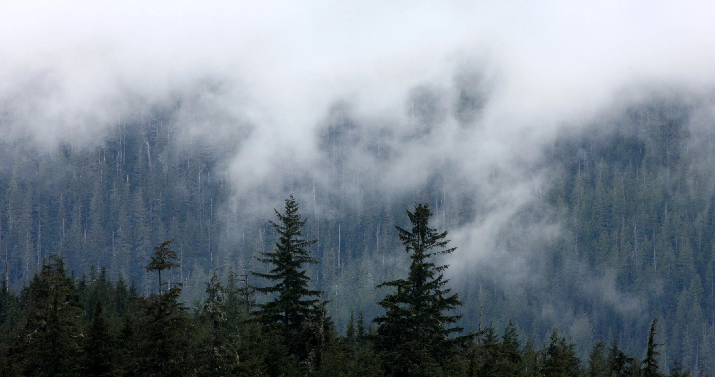KNIGHT'S INLET BRITISH COLUMBIA.JPG