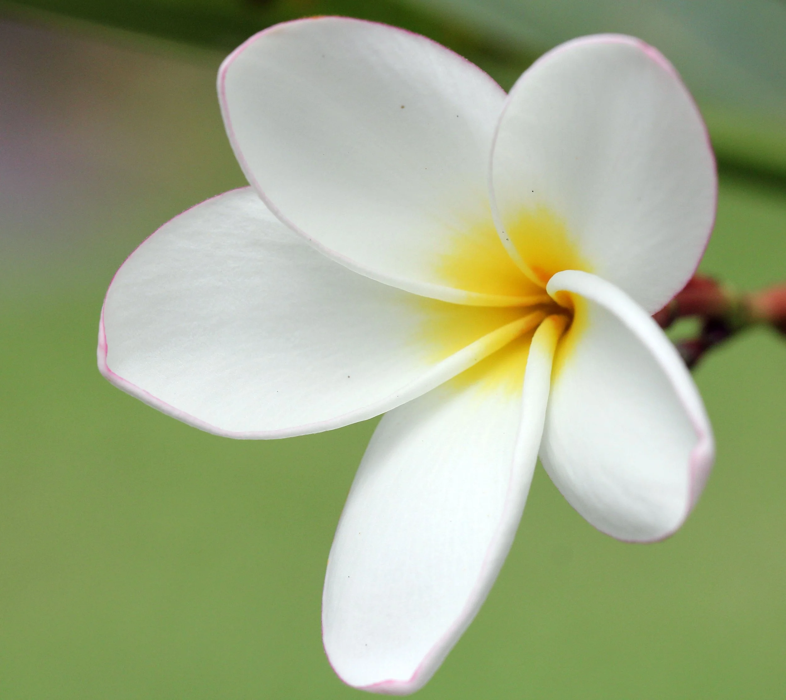 2013 Cha'am and Petchaburi with Family & Friends (28).JPG