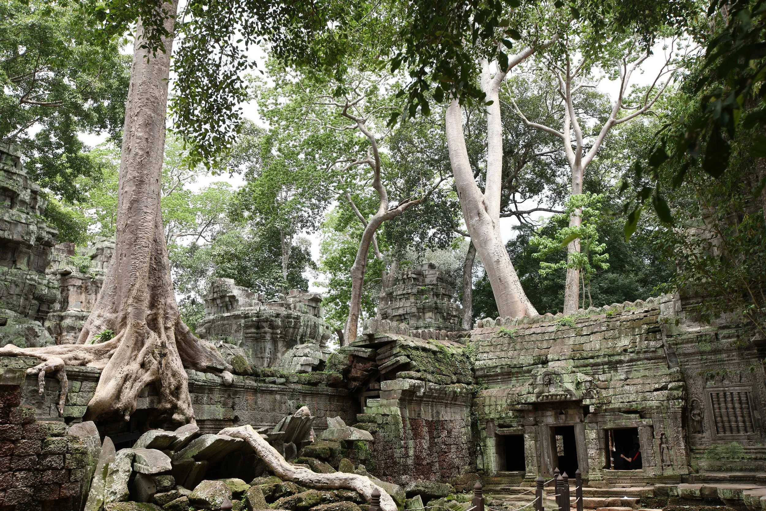 TA PROHM TEMPLE CAMBODIA - JULY 2010 (7).JPG