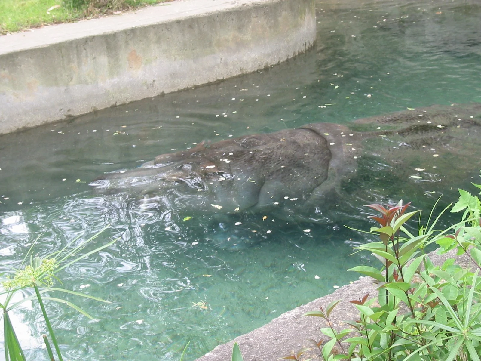 2003-4-1 SPRING TRIP TO SACRAMENTO (8).JPG