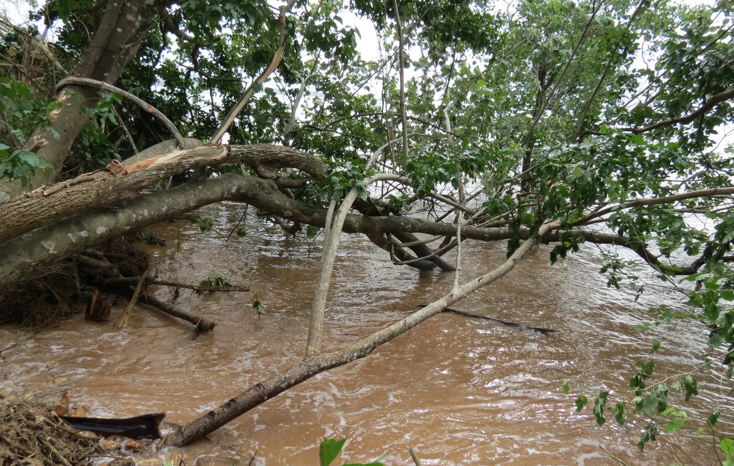 2014 Koh Lanta Build (30).JPG