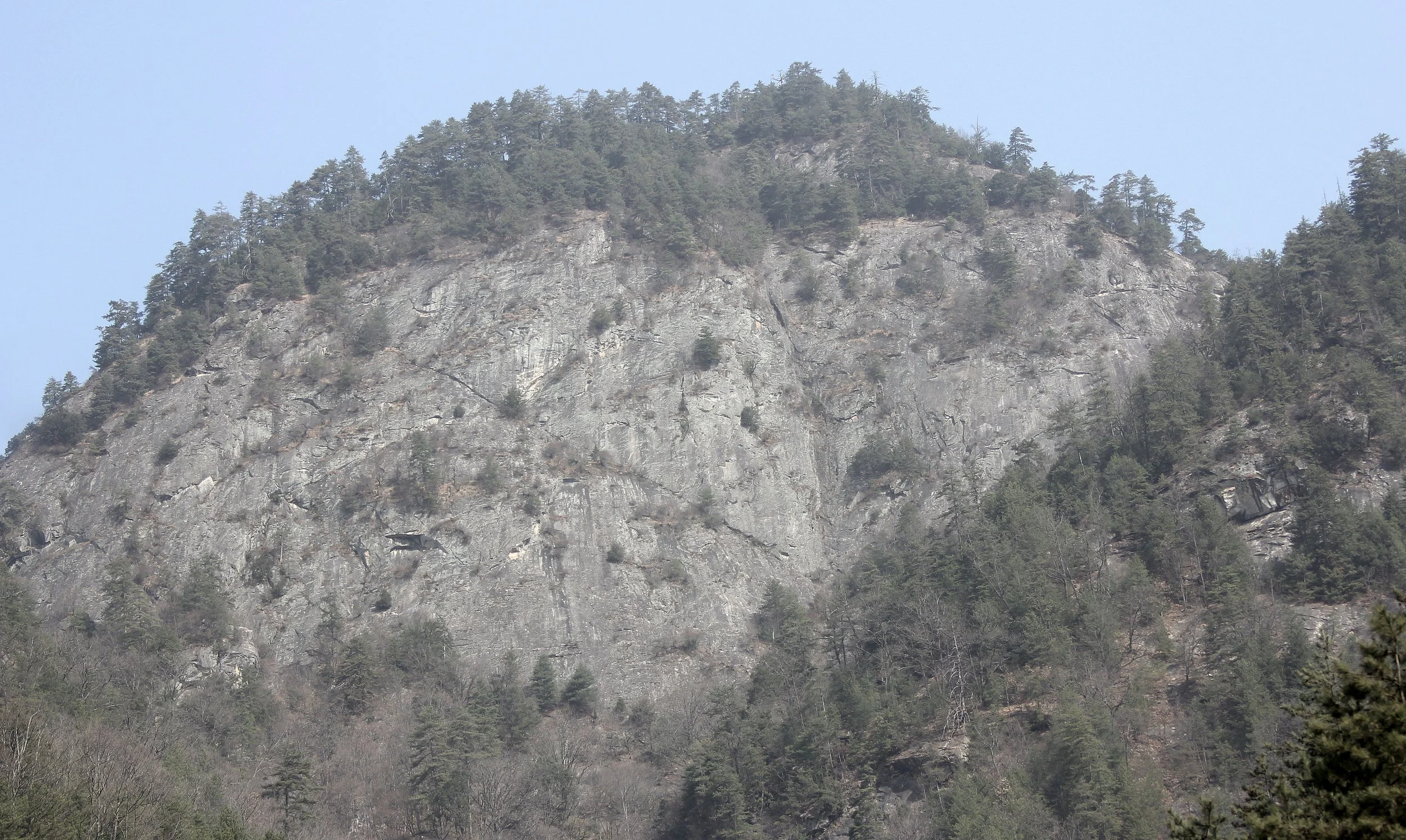 FOPING NATURE RESERVE, SHAANXI CHINA (8).JPG