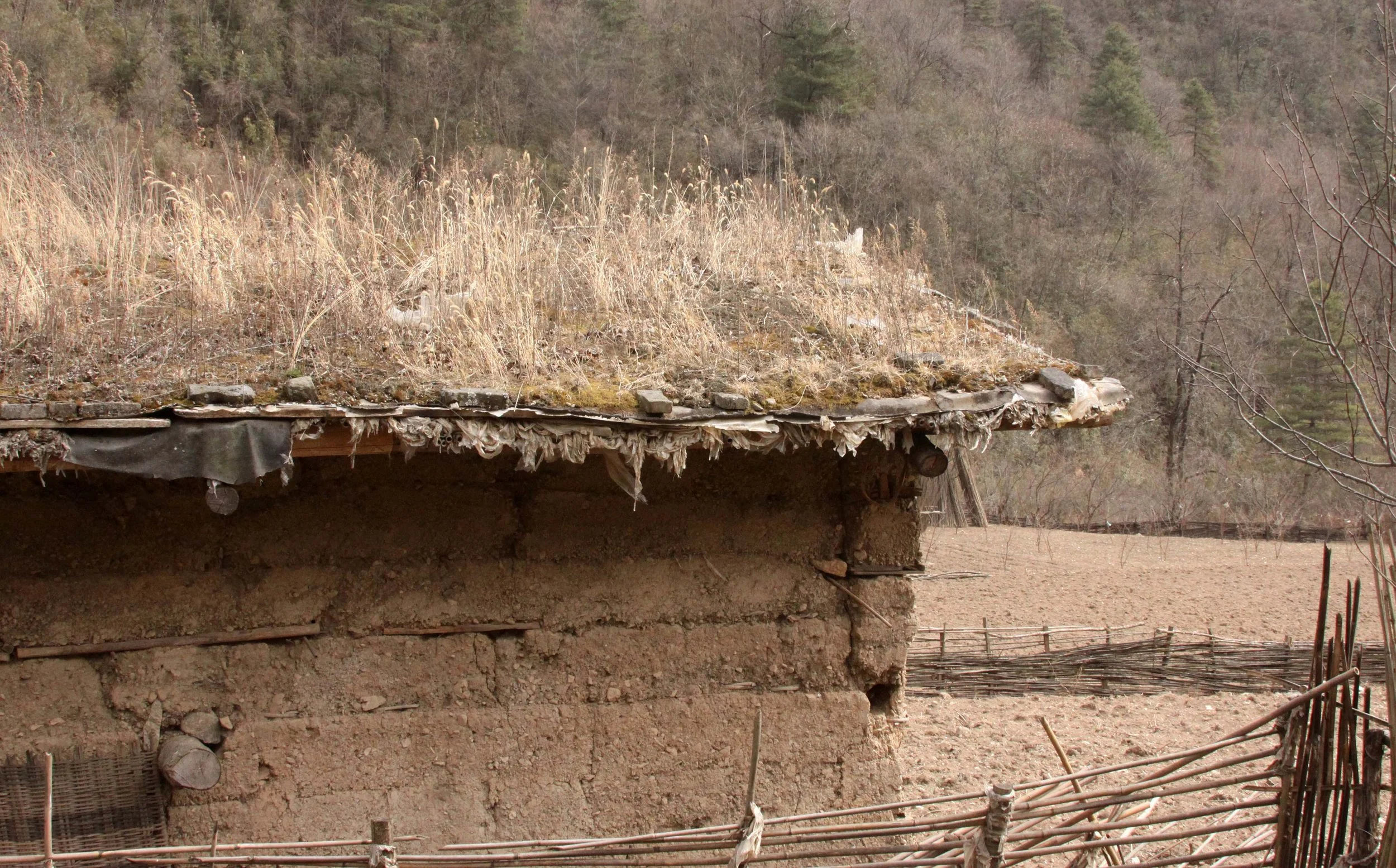 FOPING NATURE RESERVE - SHAANXI PROVINCE CHINA (244).JPG