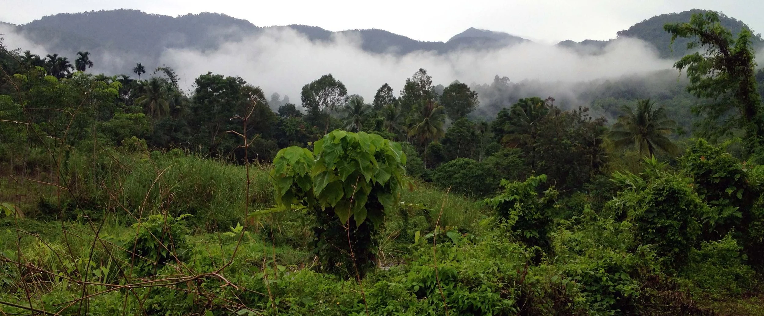 2013 in Nakhonsithammarat and some Krabi with Family (255).jpg