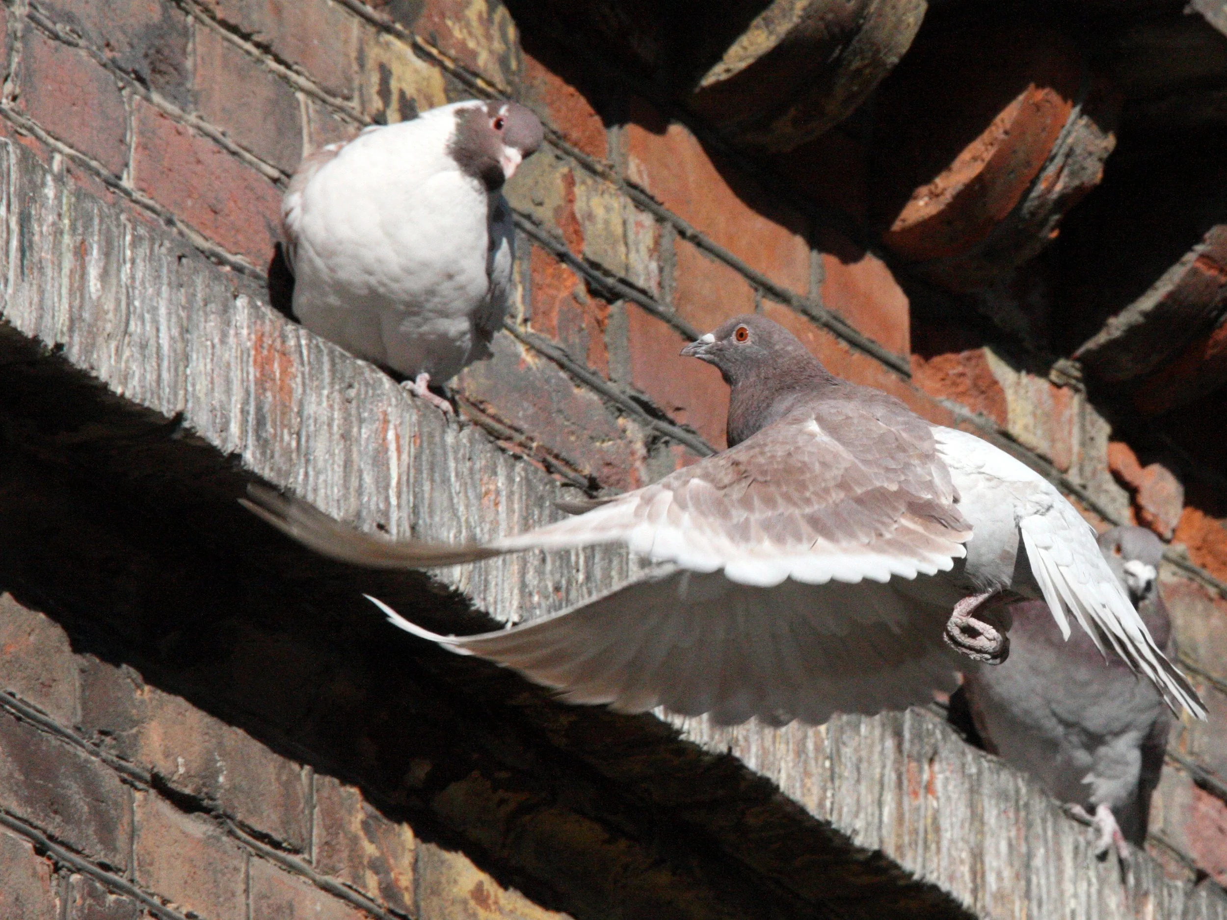 HARBIN CITY SCENES CHINA (20).JPG