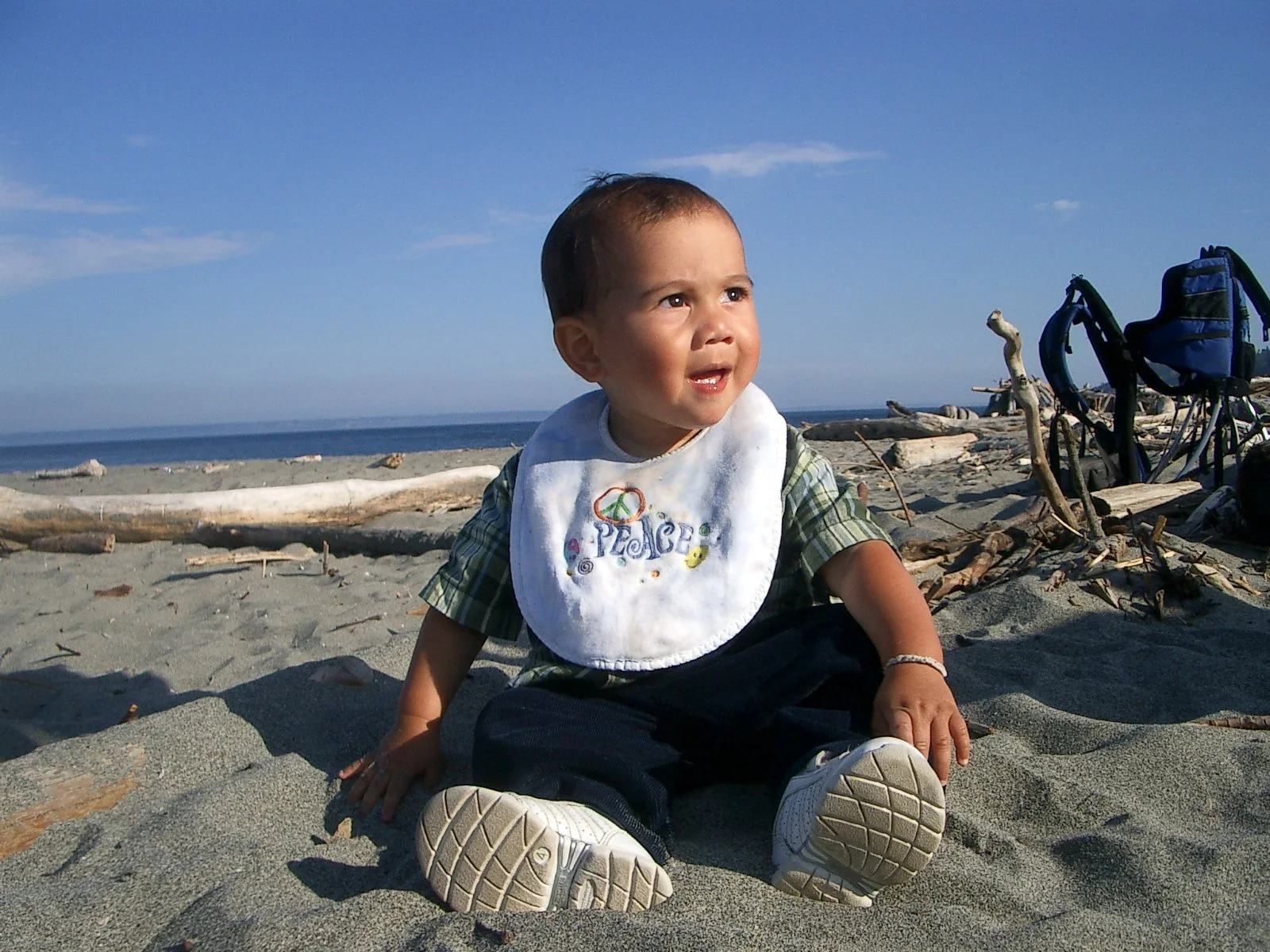 2003-7-31 FAMILY REUNION IN WASHINGTON AND CANADA (112).JPG