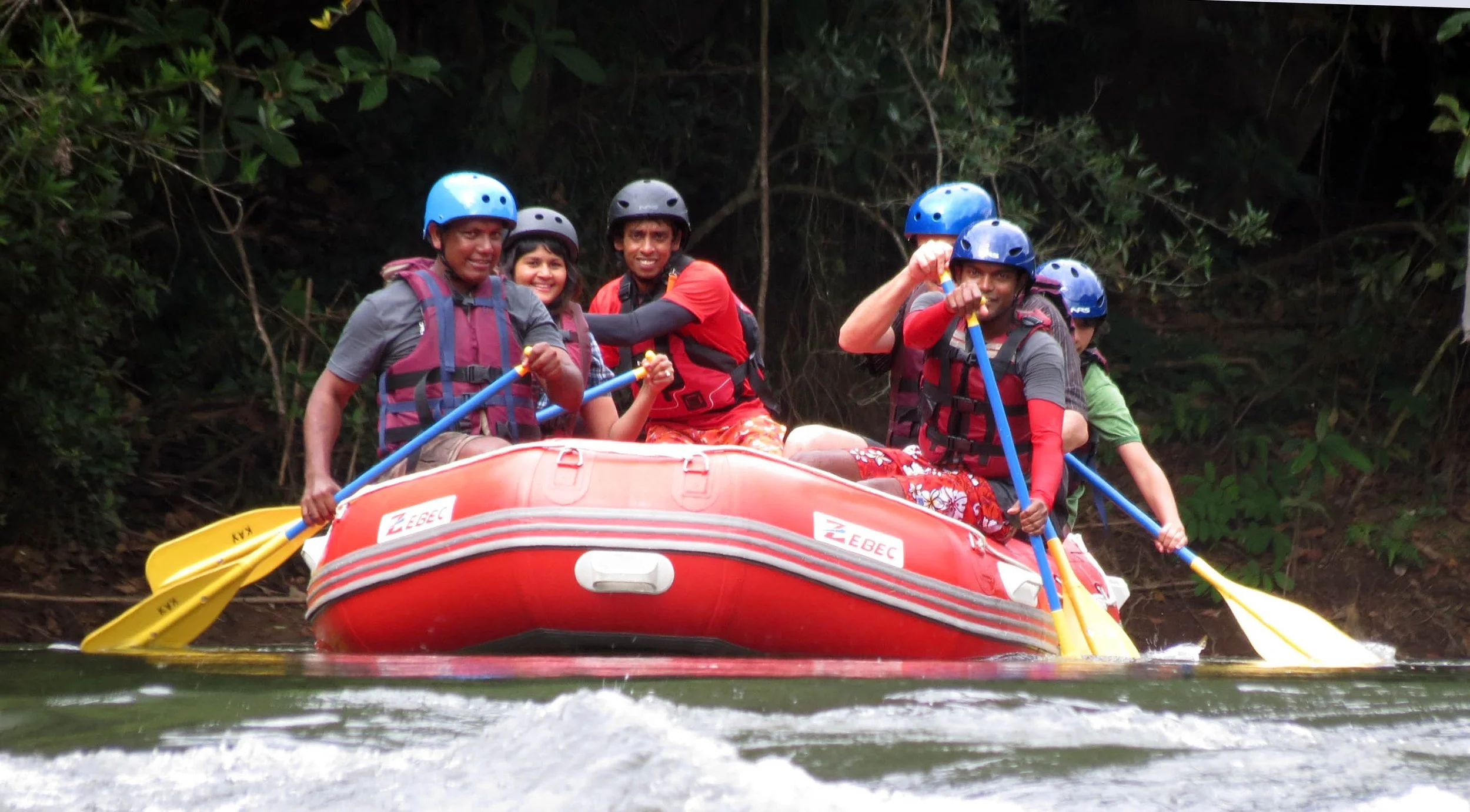 KITULGALA FOREST PRESERVE SRI LANKA (40).JPG