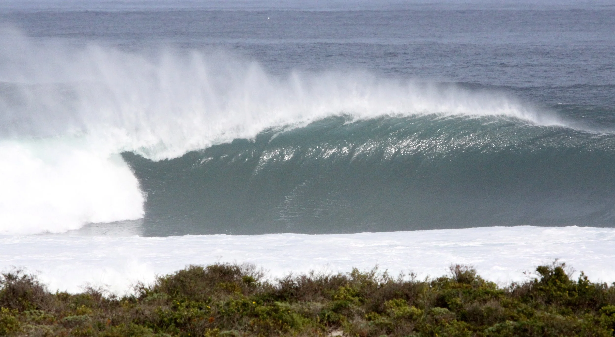 LAMBERT'S BAY SOUTH AFRICA - SURF'S UP! (17).JPG