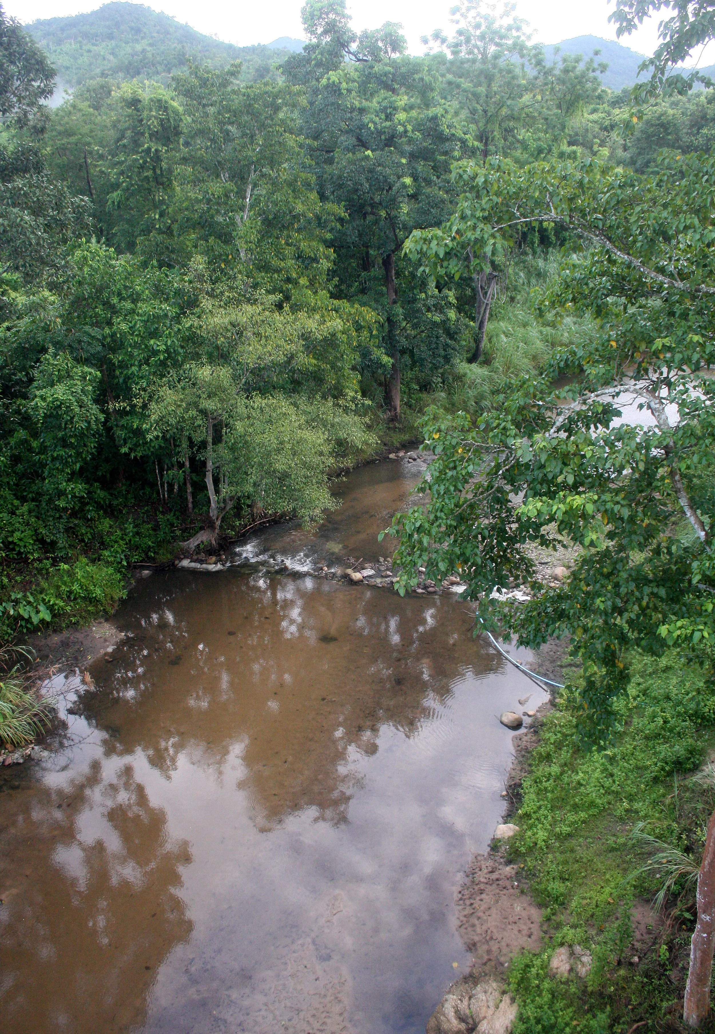 HUAI KHA KHAENG - STREAM JUNGLE SCENE (2).JPG