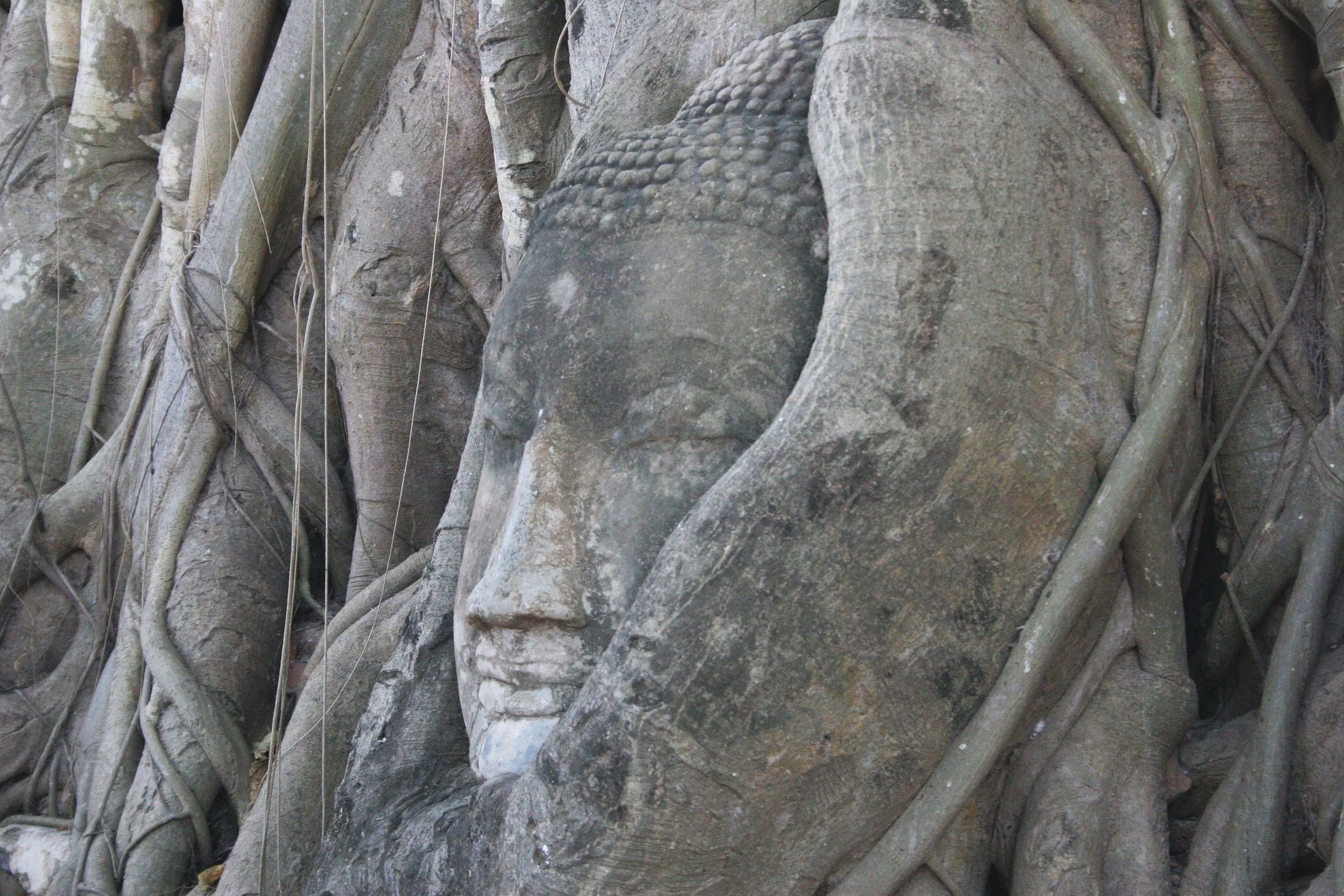 AYUDTHAYA - CHRISTMAS TRIP 2008 (27).JPG