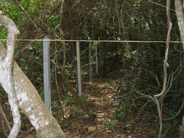 KOH LANTA - PROPERTY - 2005 (98).jpg
