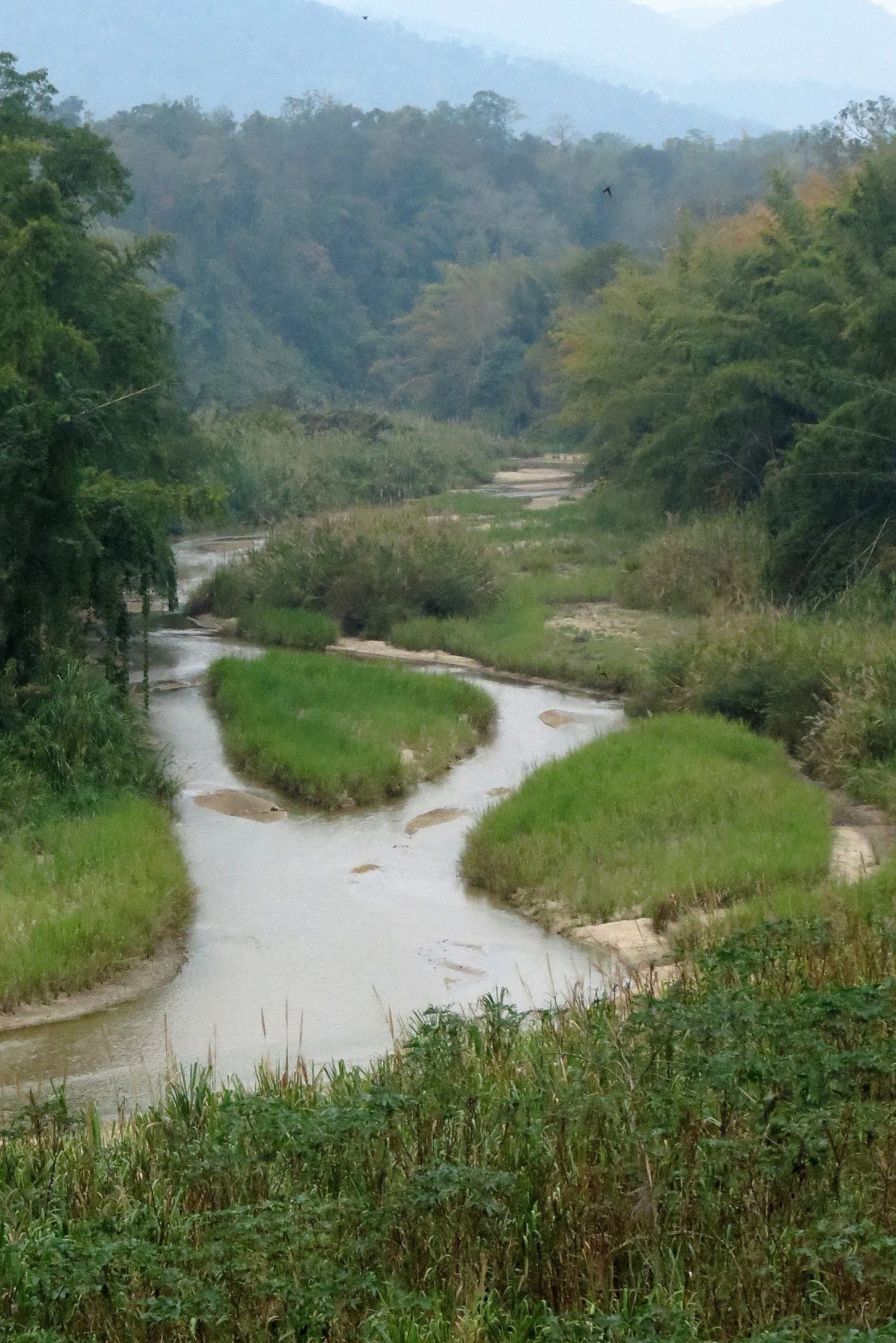 2014 Huai Kha Khaeng Bruce Kekule Trip (33).JPG