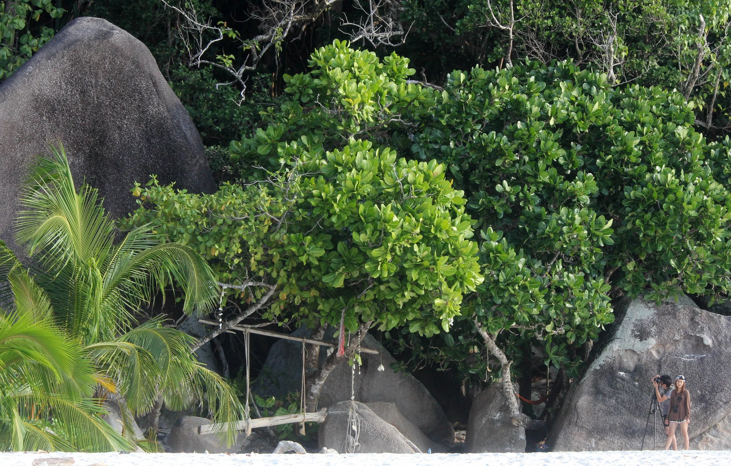2014 Similans Trip with Family on The Junk (179).JPG