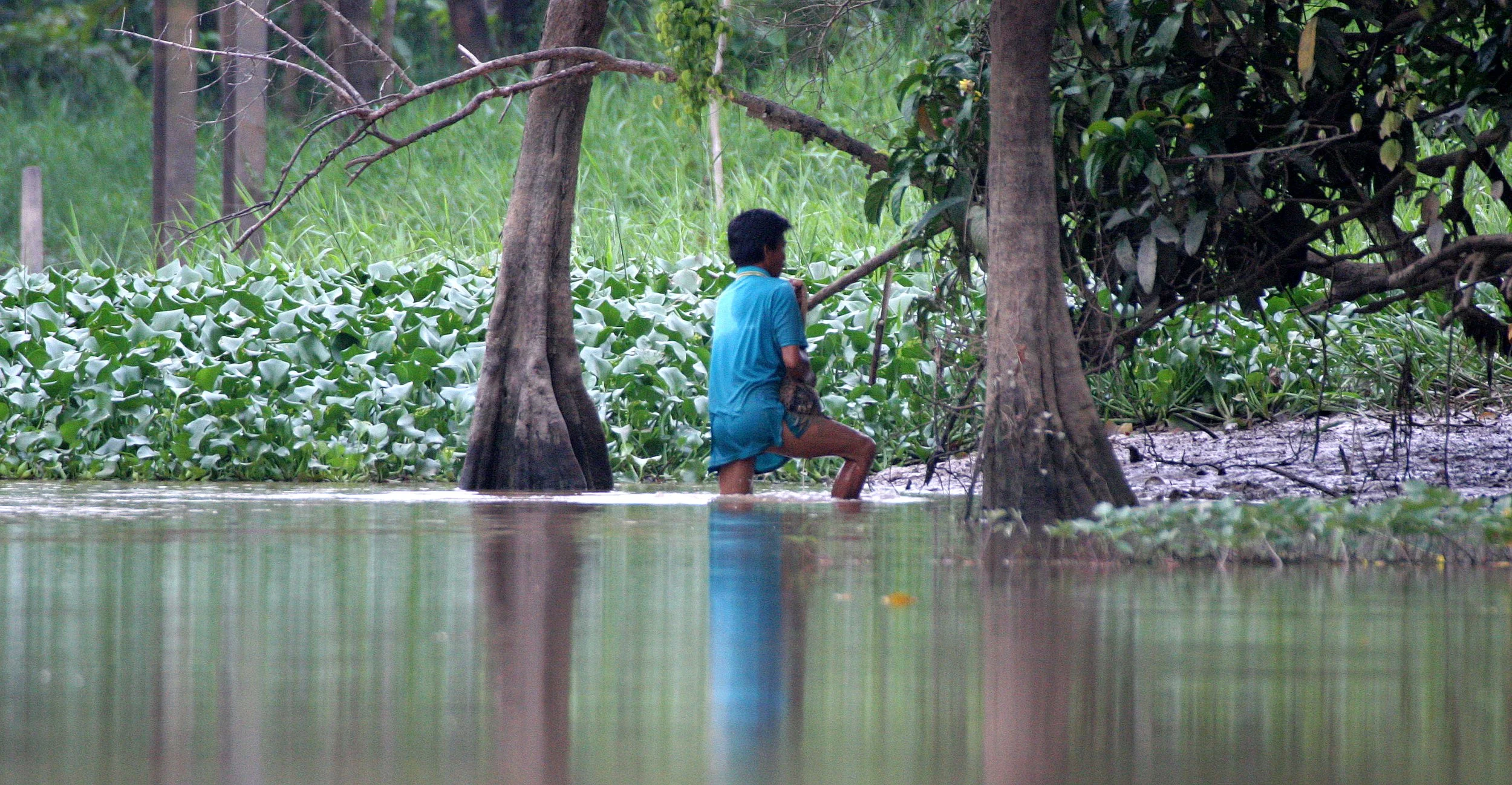 KINABATANGAN RIVER BORNEO - FISHER (2).JPG