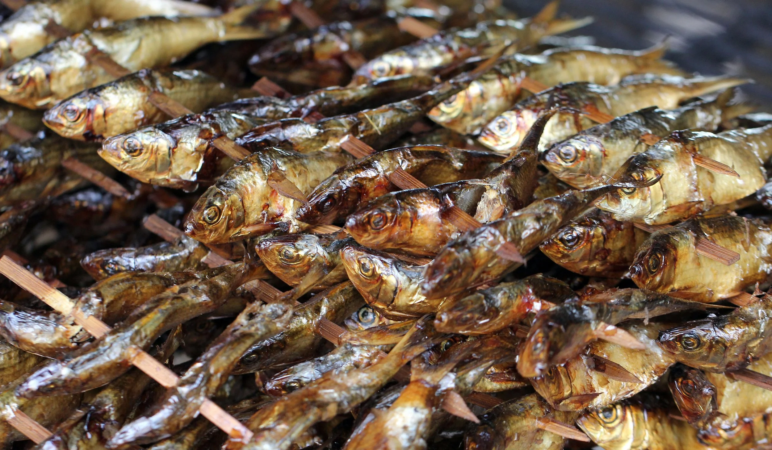 2015 Koh Lanta October Break Trip  (43).JPG