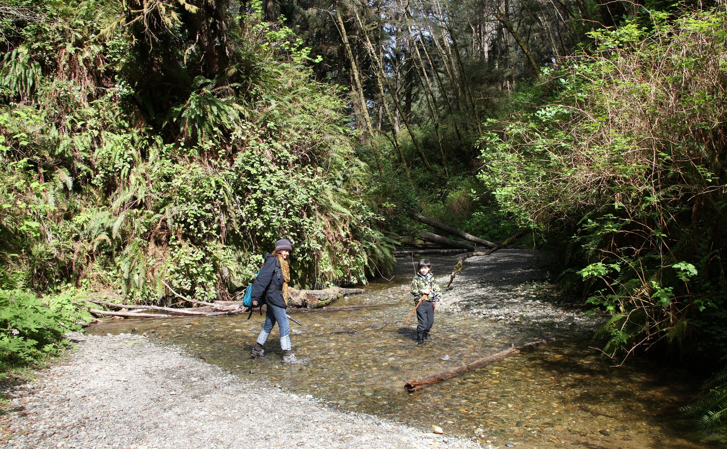 2010-3-30 PRAIRIE CREEK HIKE IN TO FERN CANYON CALIFORNIA (3).JPG