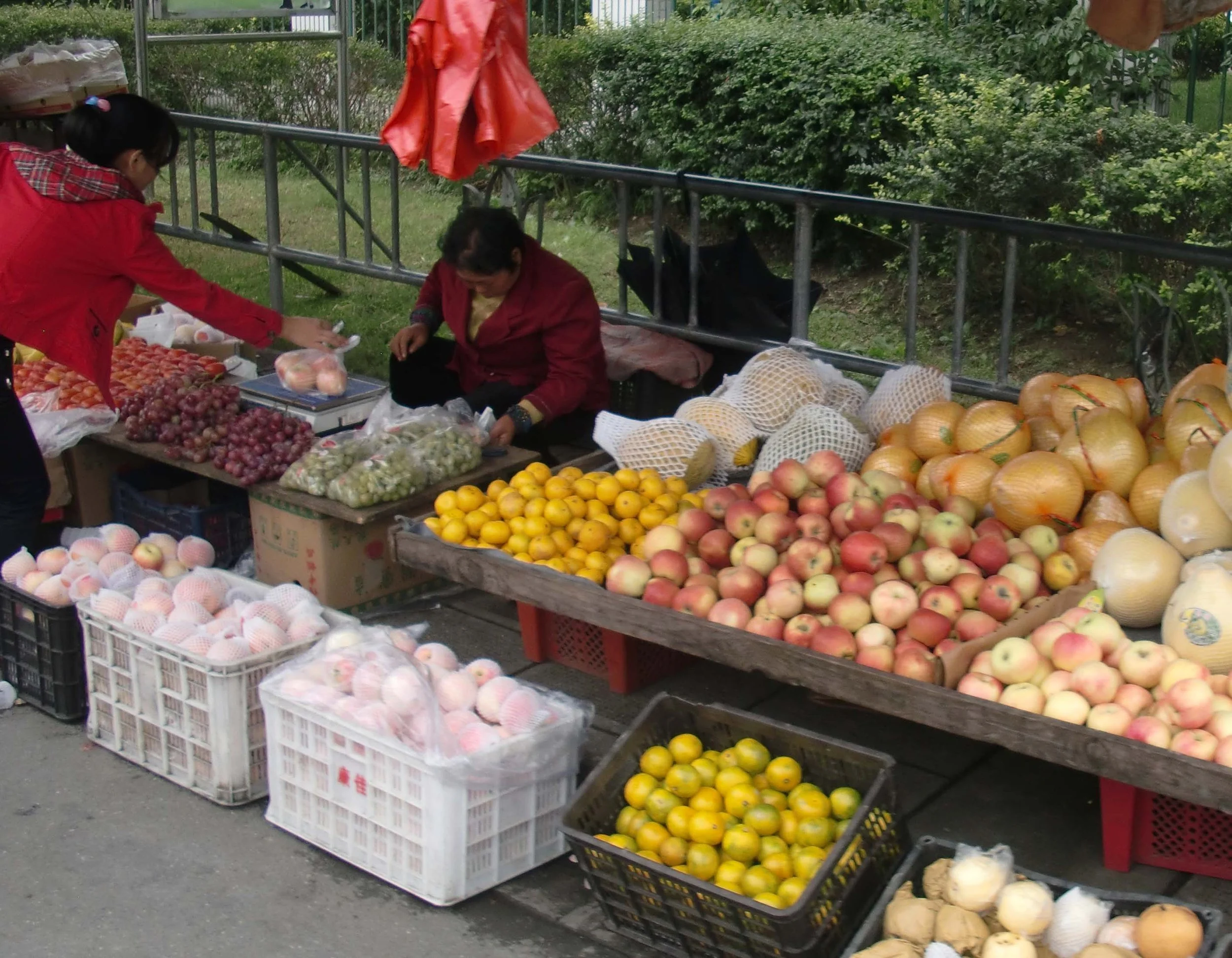 OCTOBER 2011 NATIONAL HOLIDAY VACATION IN SHANGHAI - BIKE RIDE TO OUR VILLAGE IN JINQIAO (15).JPG