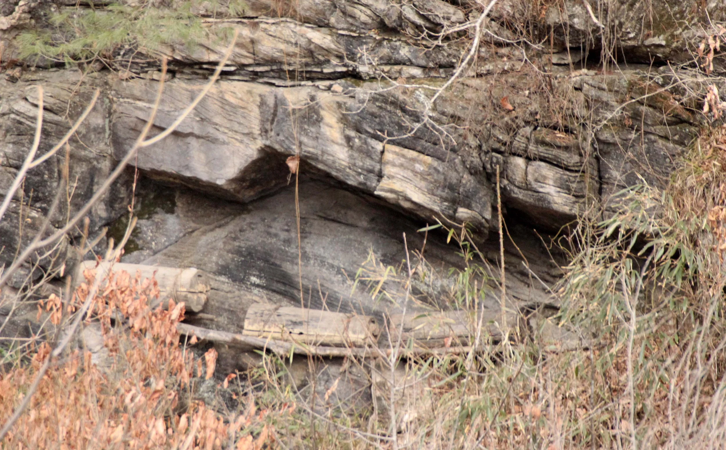 FOPING NATURE RESERVE - SHAANXI PROVINCE CHINA (126).JPG