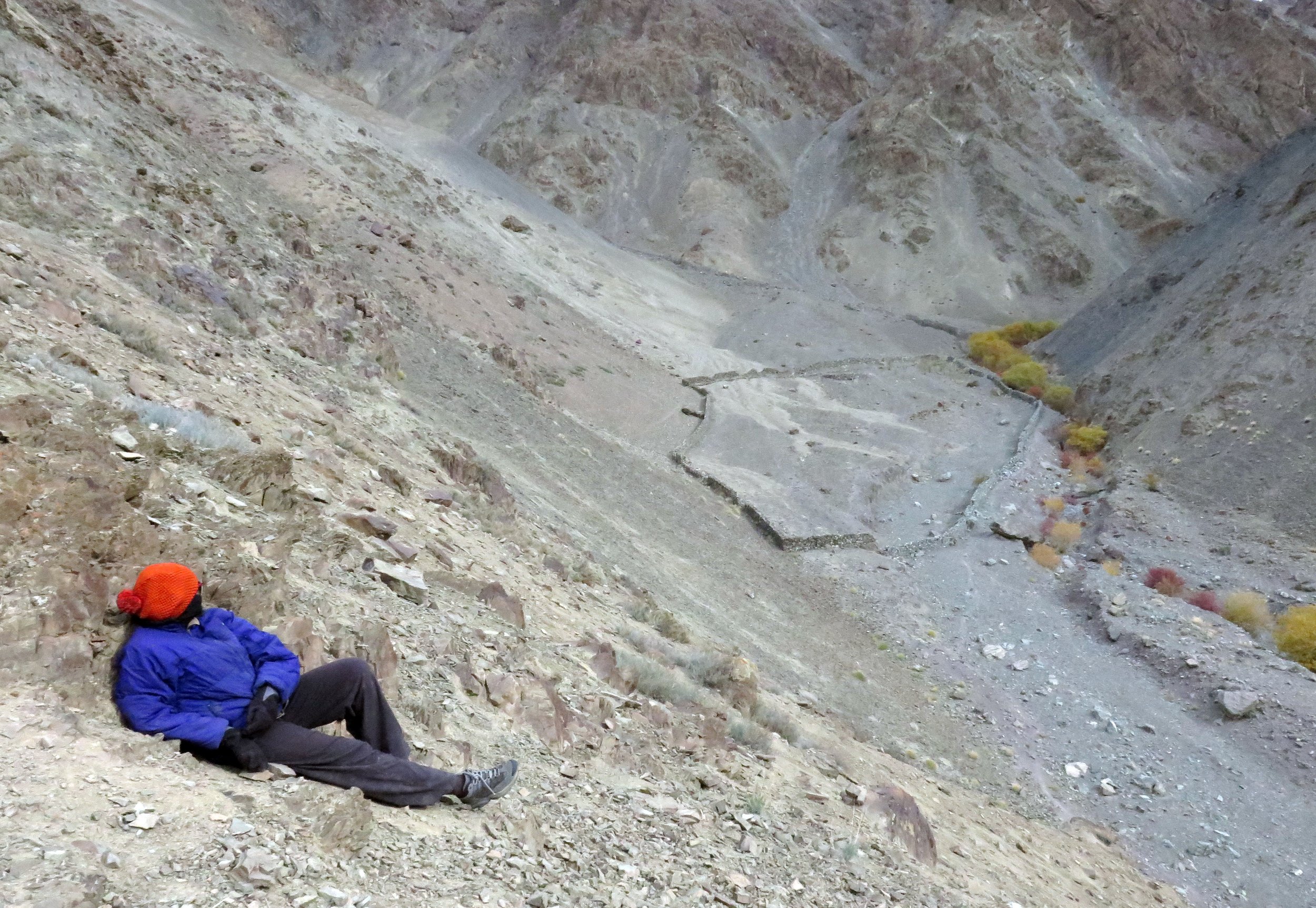 HEMIS NATIONAL PARK - LADAKH INDIA - JAMMU & KASHMIR NEAR RUMBAK VILLAGE (751).JPG