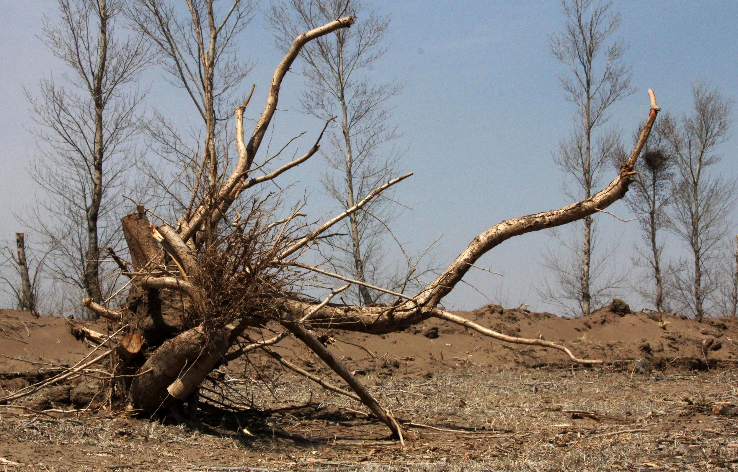 INNER MONGOLIA 2013 (87).JPG