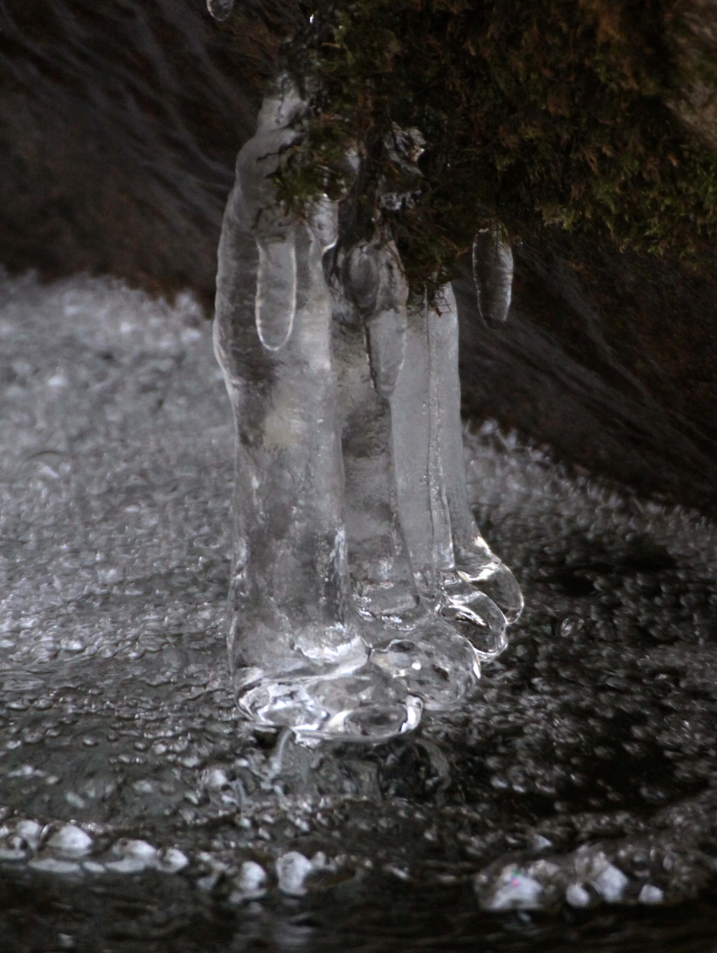 FOPING NATURE RESERVE - SHAANXI PROVINCE CHINA (134).JPG