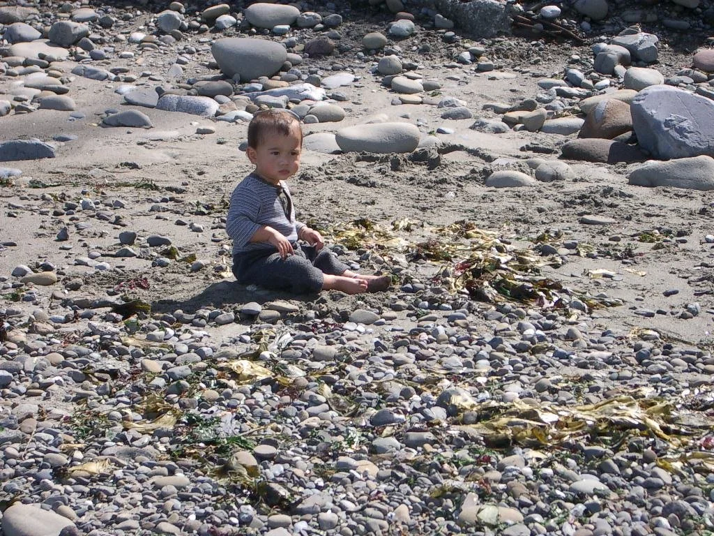 2003-8-31 LAKE FARM BEACH (11).JPG