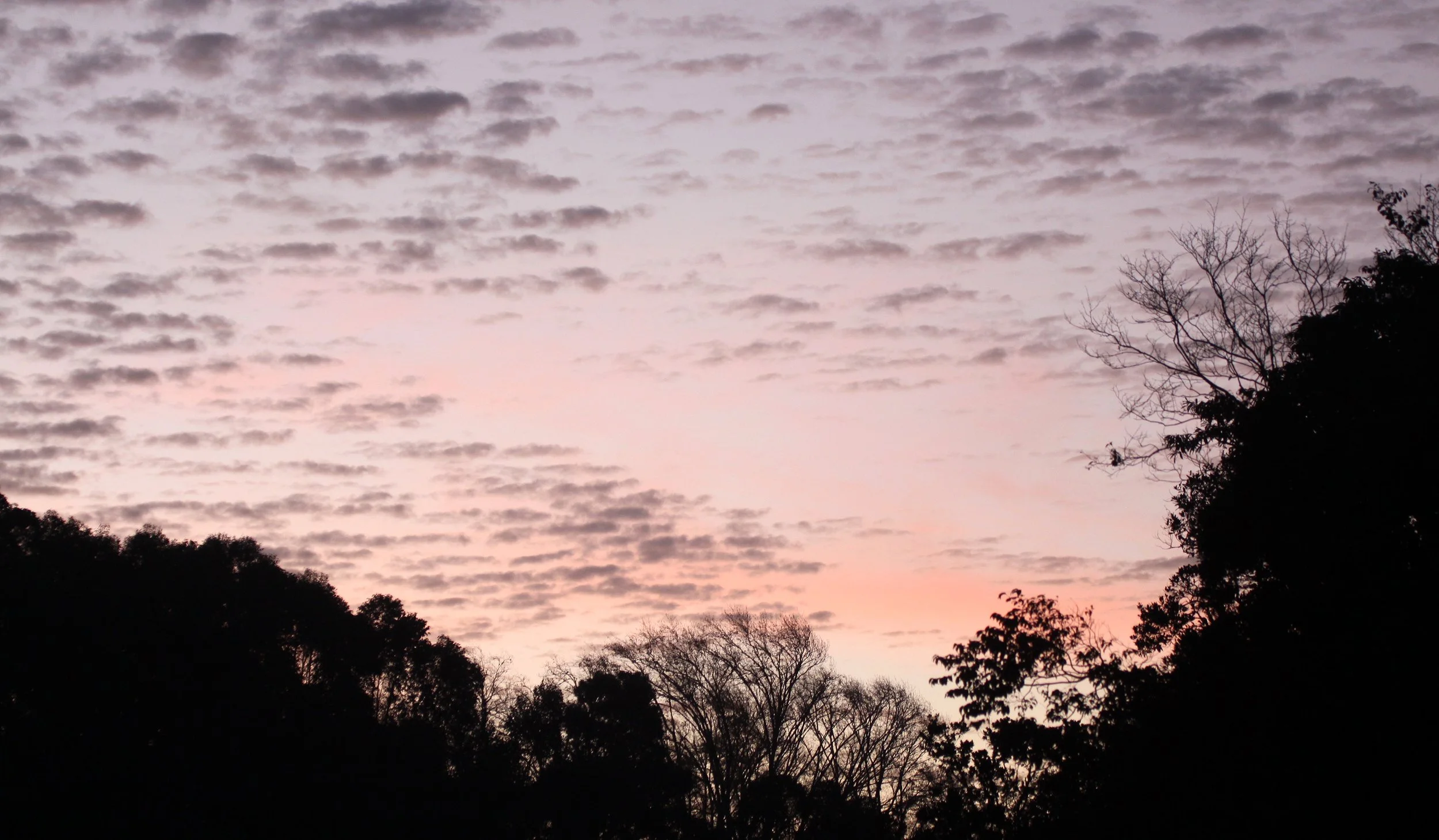 MANTADIA NATIONAL PARK MADAGASCAR - SUNSET OVER PERINET (8).JPG