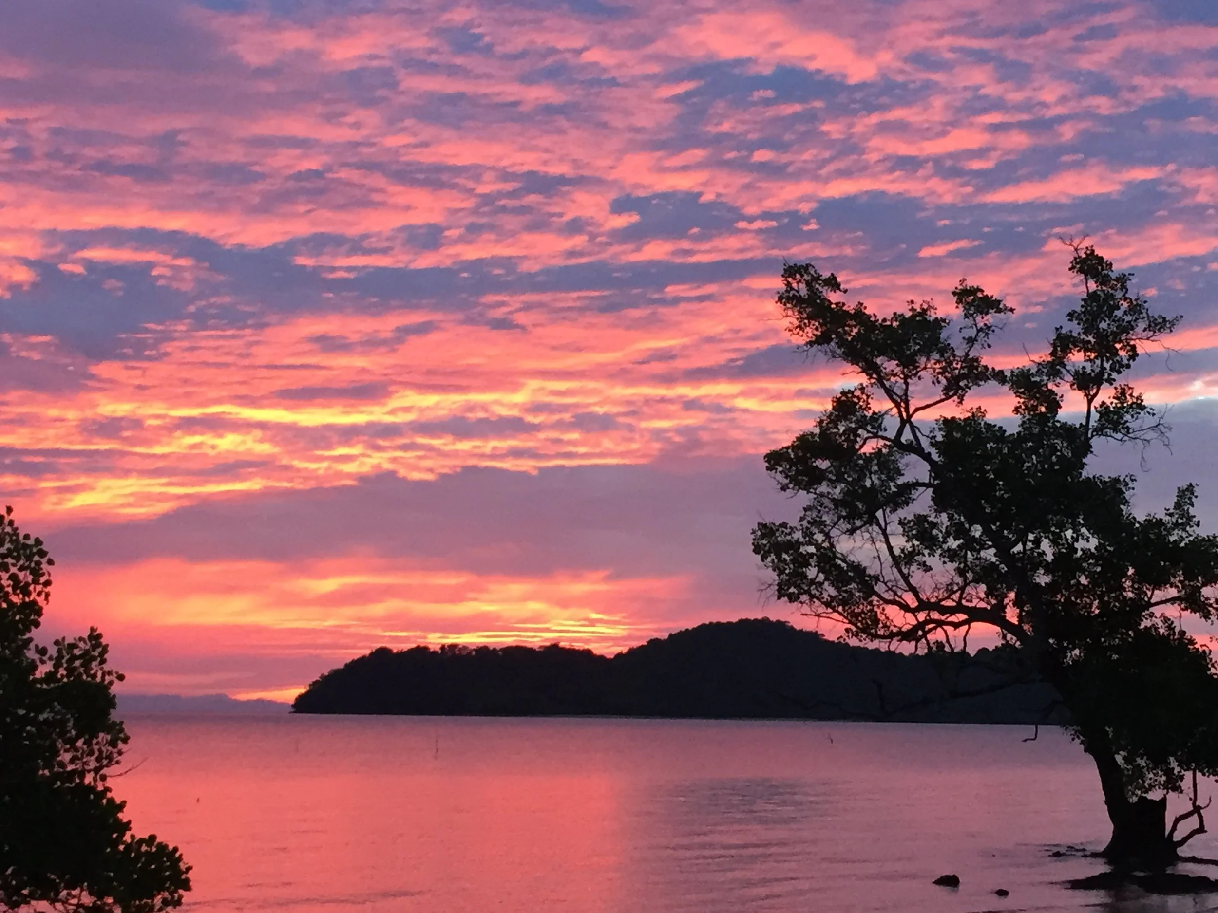 2015 Koh Lanta Garden & Nature (298).JPG