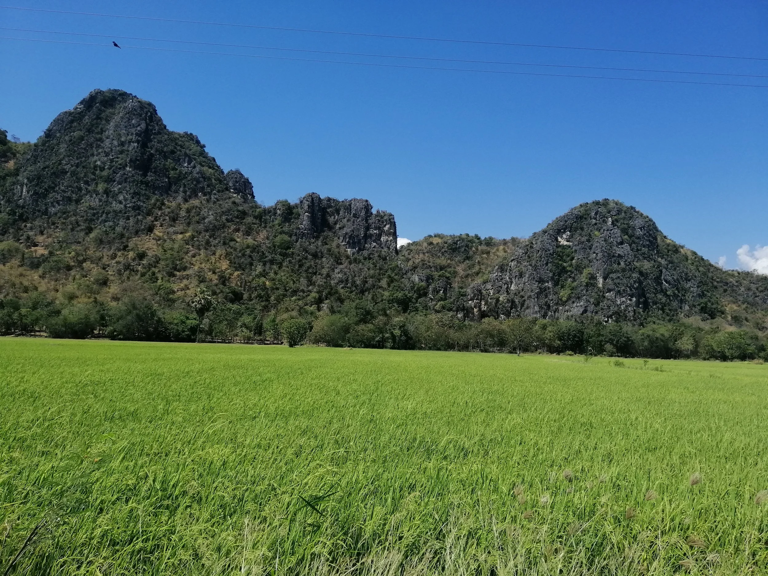 2019 Petchaburi & Cha'am Trip with Cokie & Gift (15).jpg