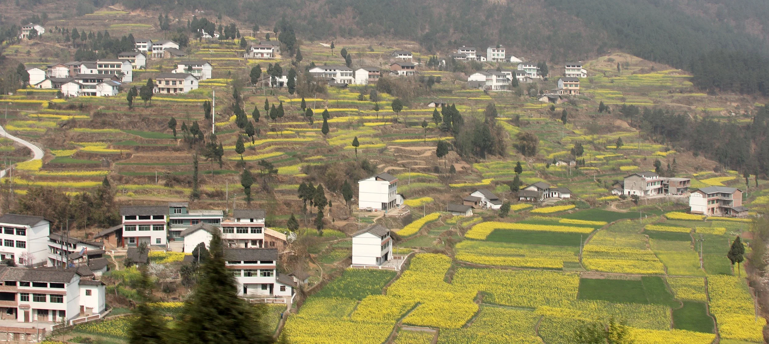 QINGCHUAN AND SURROUNDING AREA - SICHUAN CHINA (8).JPG