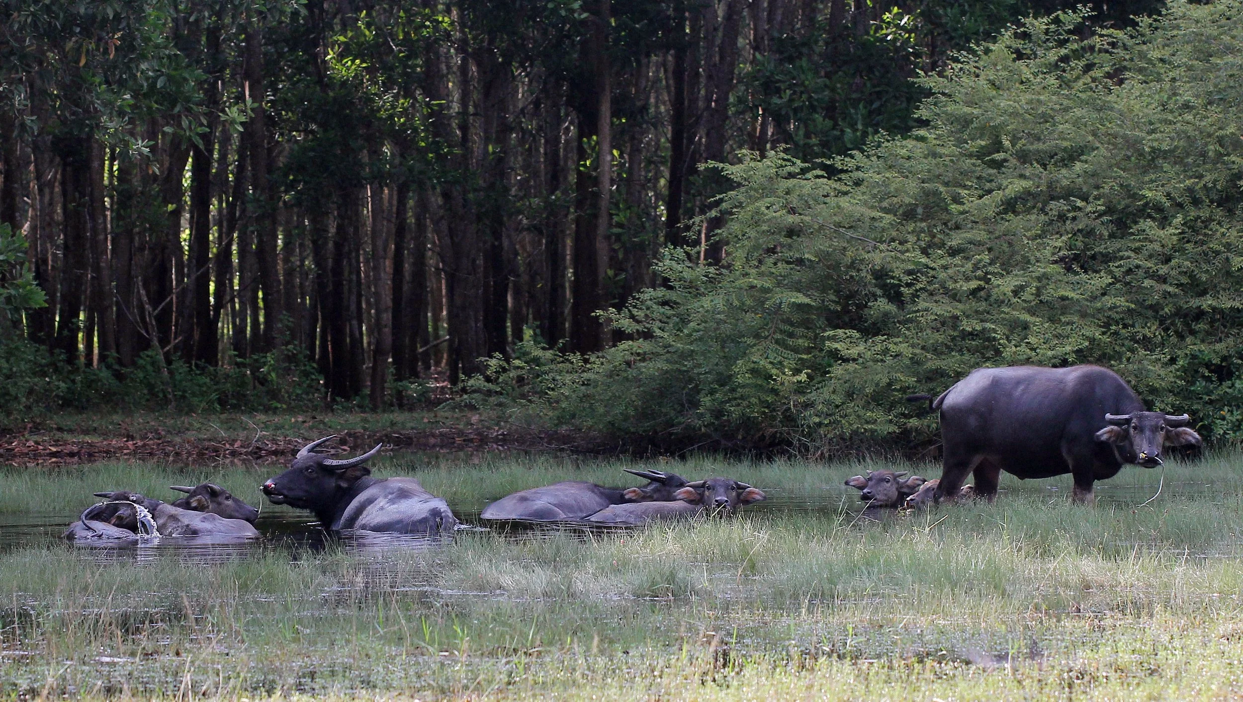 2015 Koh Lanta October Break Trip  (51).JPG