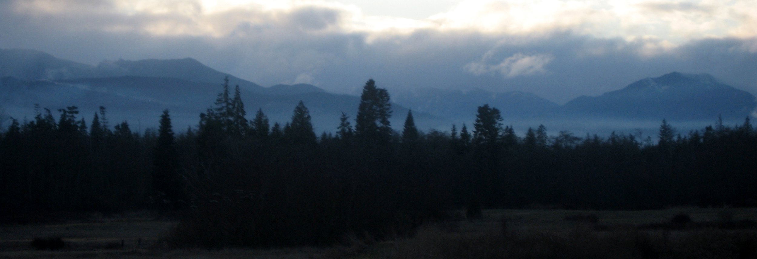 2009-12-30 HANGING WITH FAMILY IN WA (5).JPG