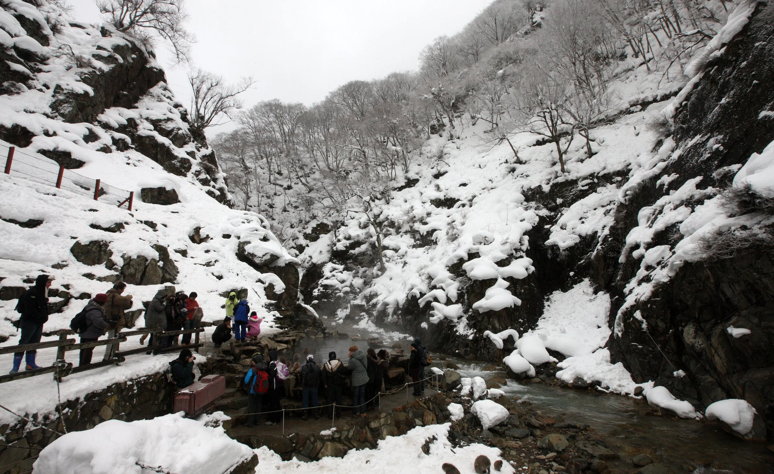 JIGOKUDANI ONSEN - NAGANO PREFECTURE JAPAN (1).JPG