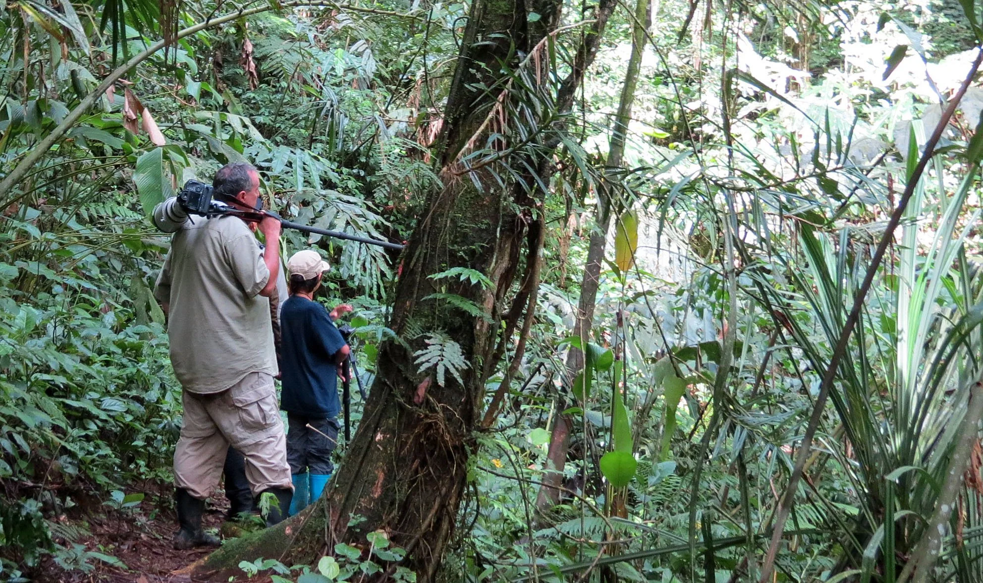 HALIMUN  NATIONAL PARK - JAVA BARAT INDONESIA (11).JPG