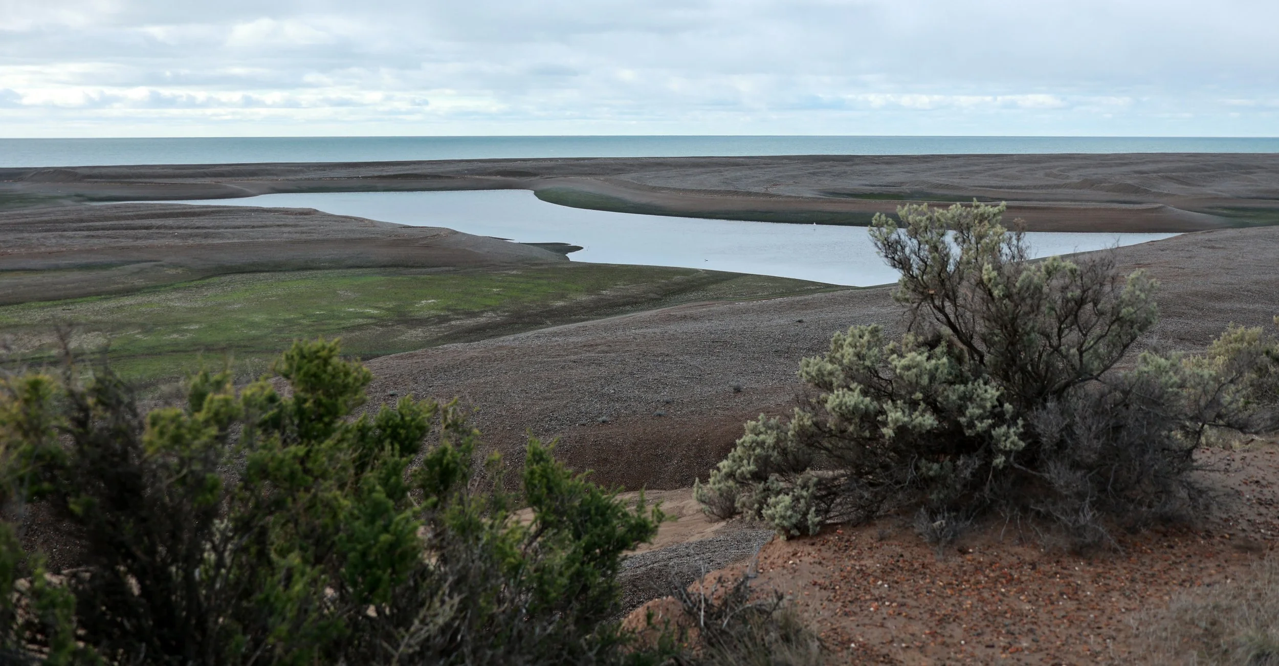 Valdes Peninsula, Chubut Province, Argentina (10).jpg