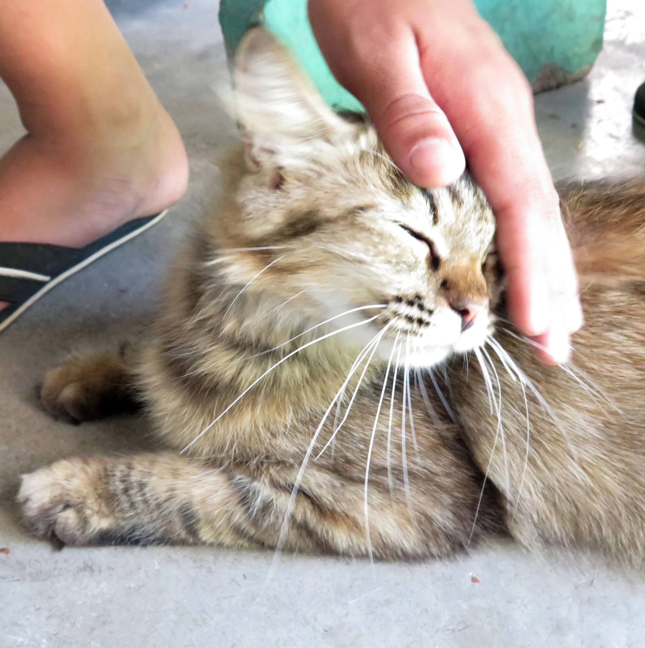 2014 Nakhonsithammarat with Family (90).JPG