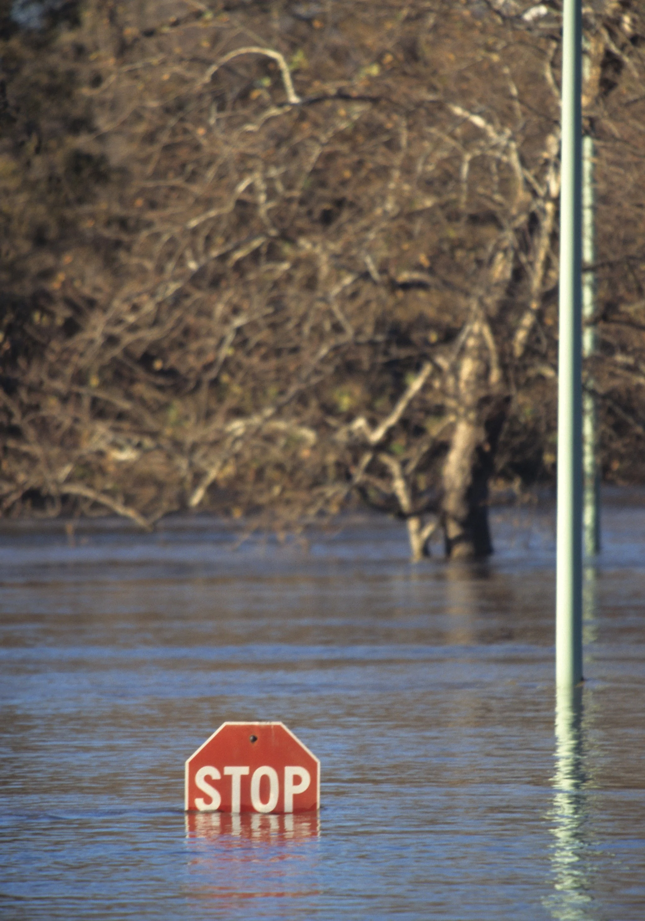 CALIFORNIA - SACRAMENTO FLOODS (2).jpg