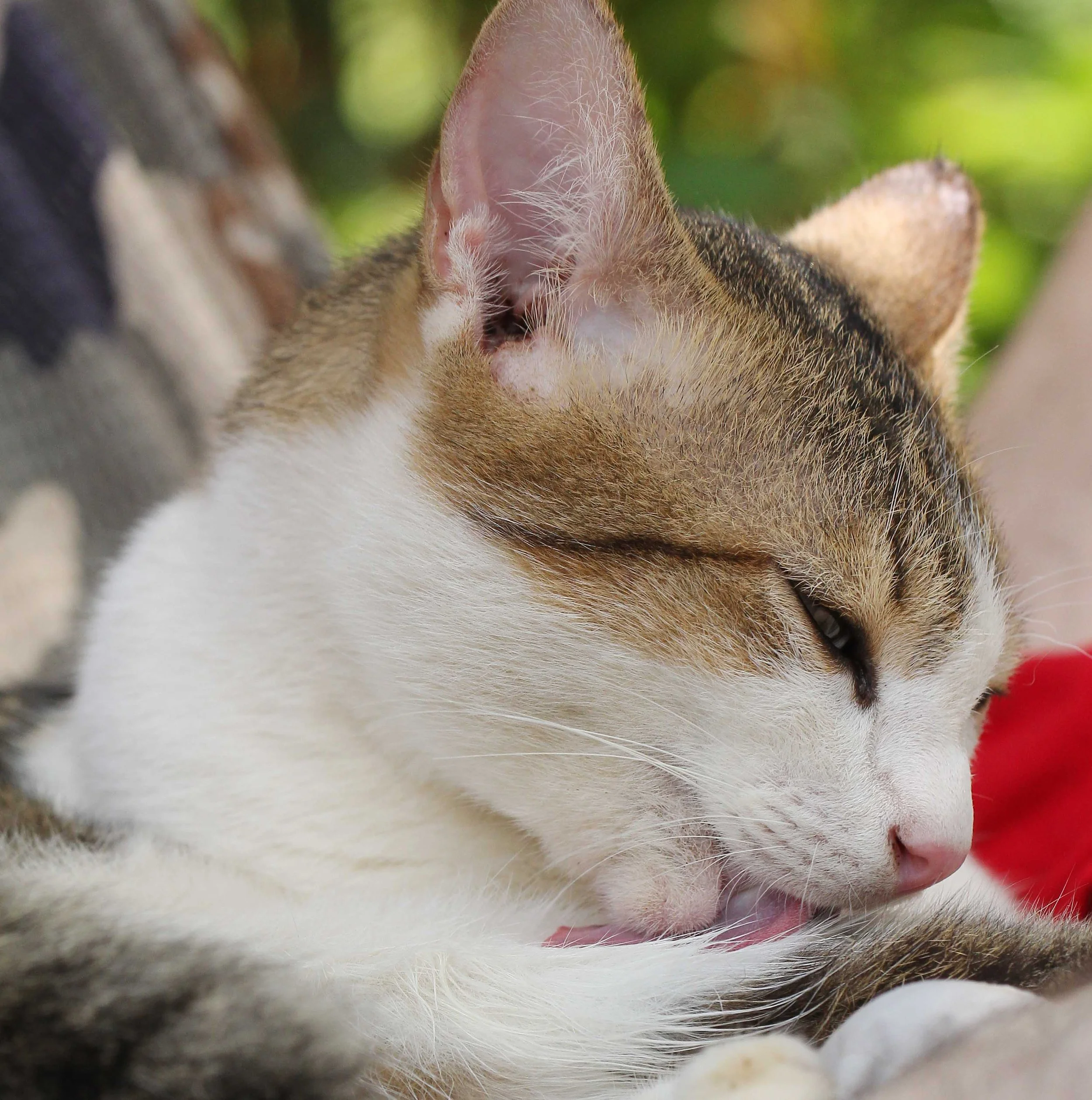 2015 Koh Lanta Songkran with friends from ISB (732).JPG