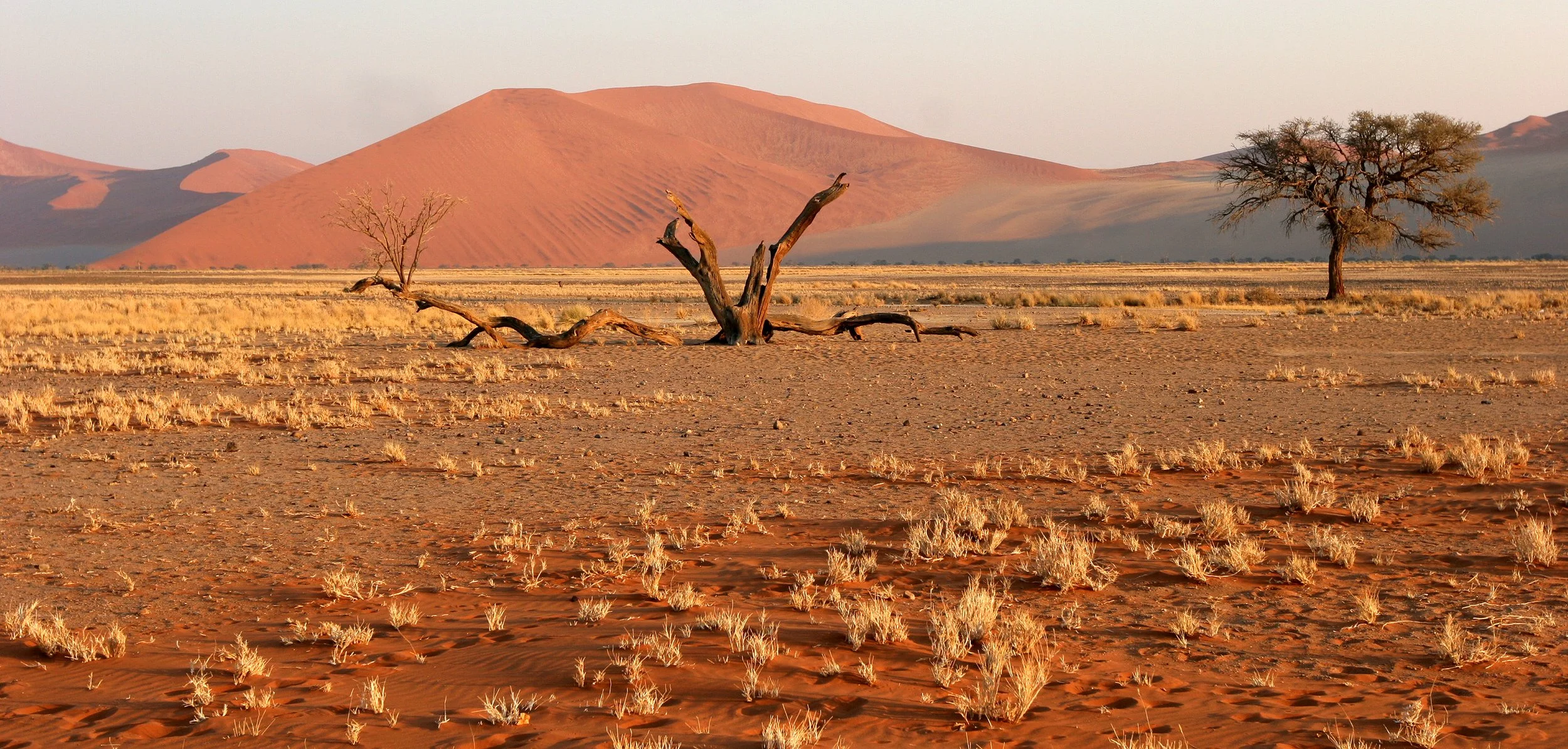 NAMIBIA - SOSSUSVLEI - DUNES - NAMIBIA (20).JPG