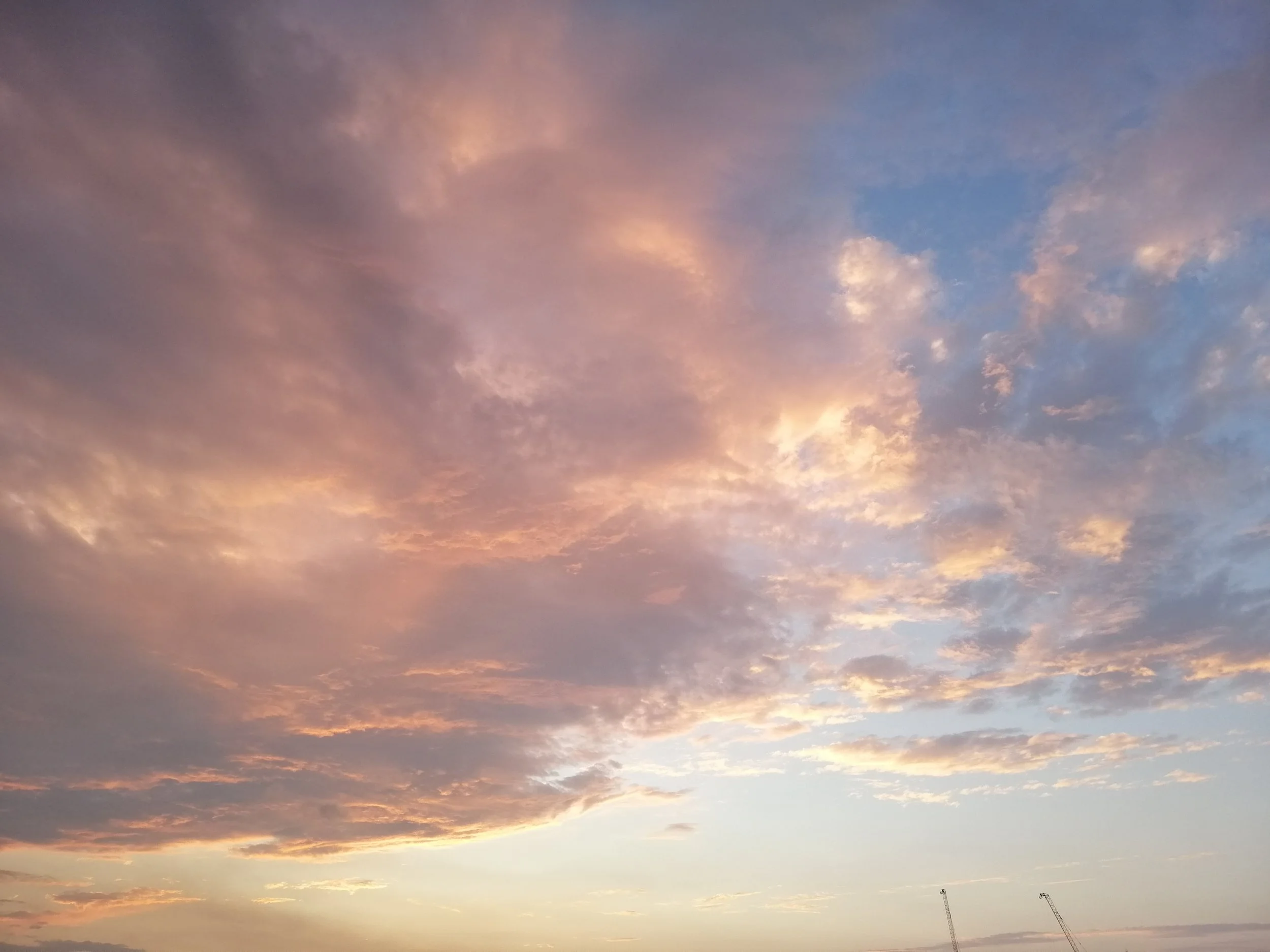 IMG_20190217_182324.jpg