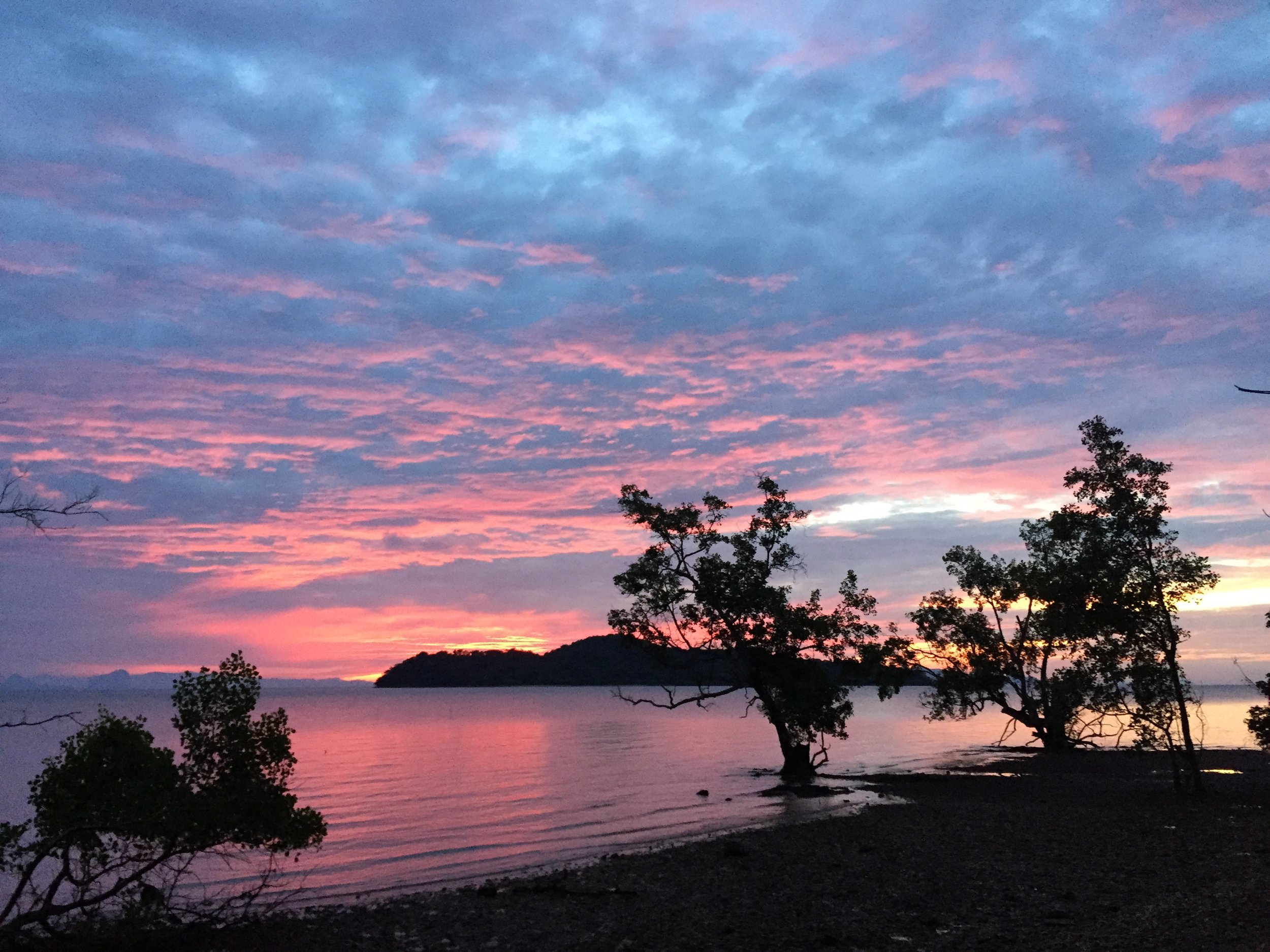 2015 Koh Lanta Garden & Nature (294).JPG